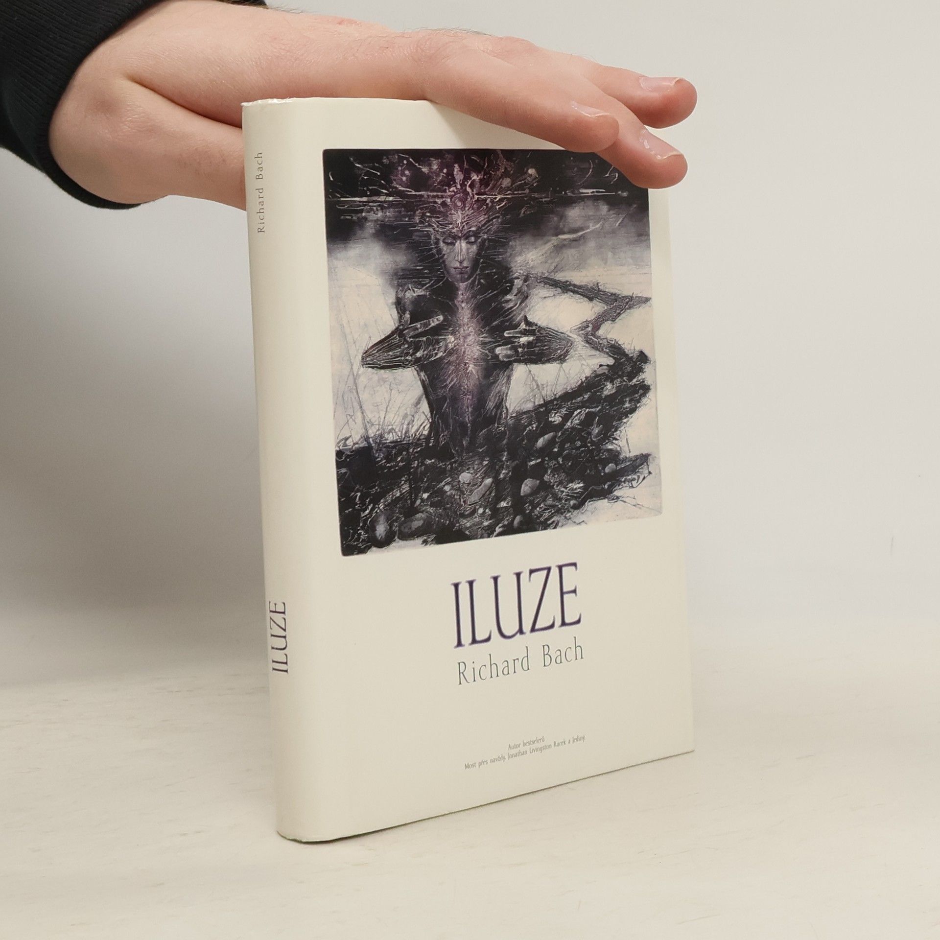 Vladimír Novák Iluze