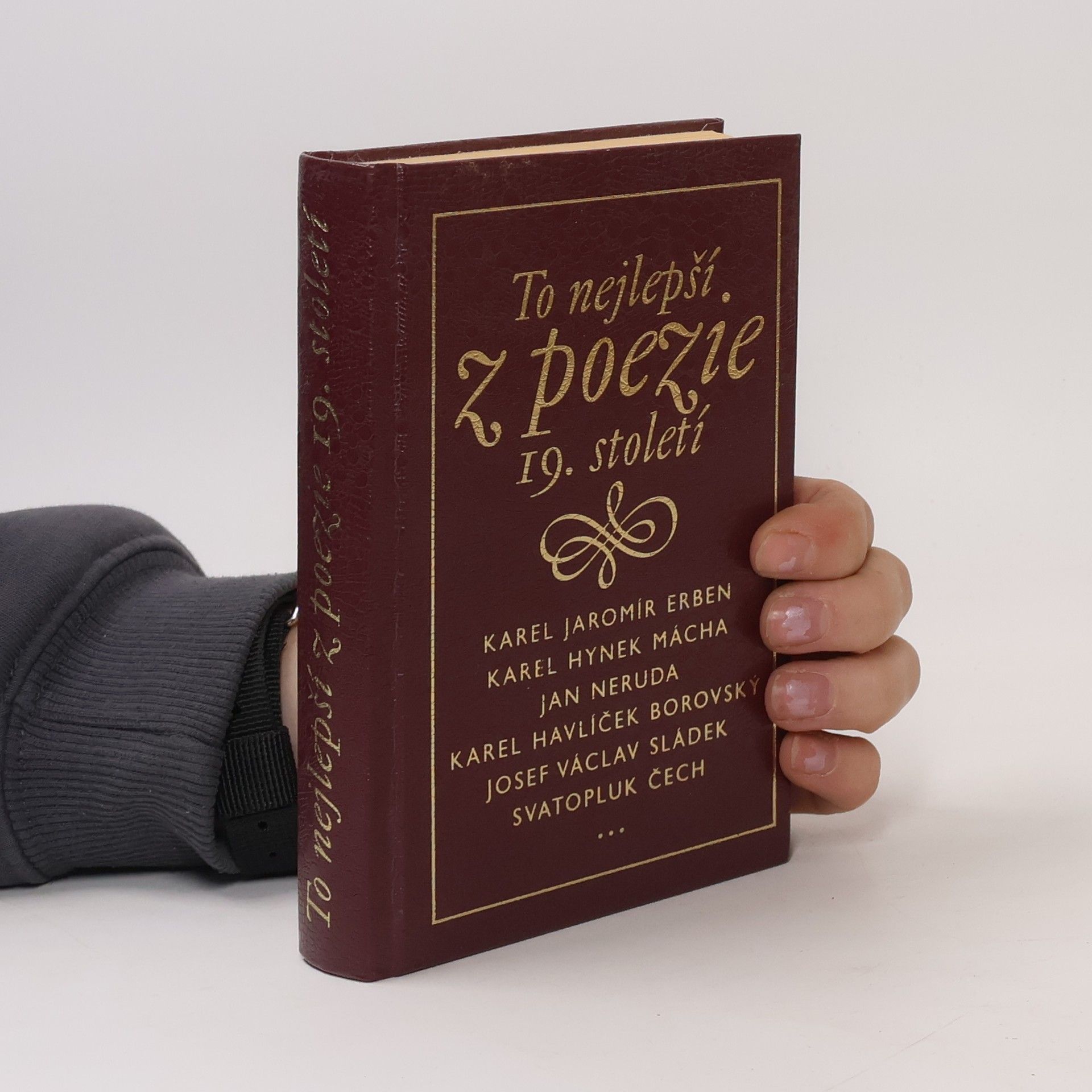 Kolektiv autorů To nejlepší z poezie 19. století