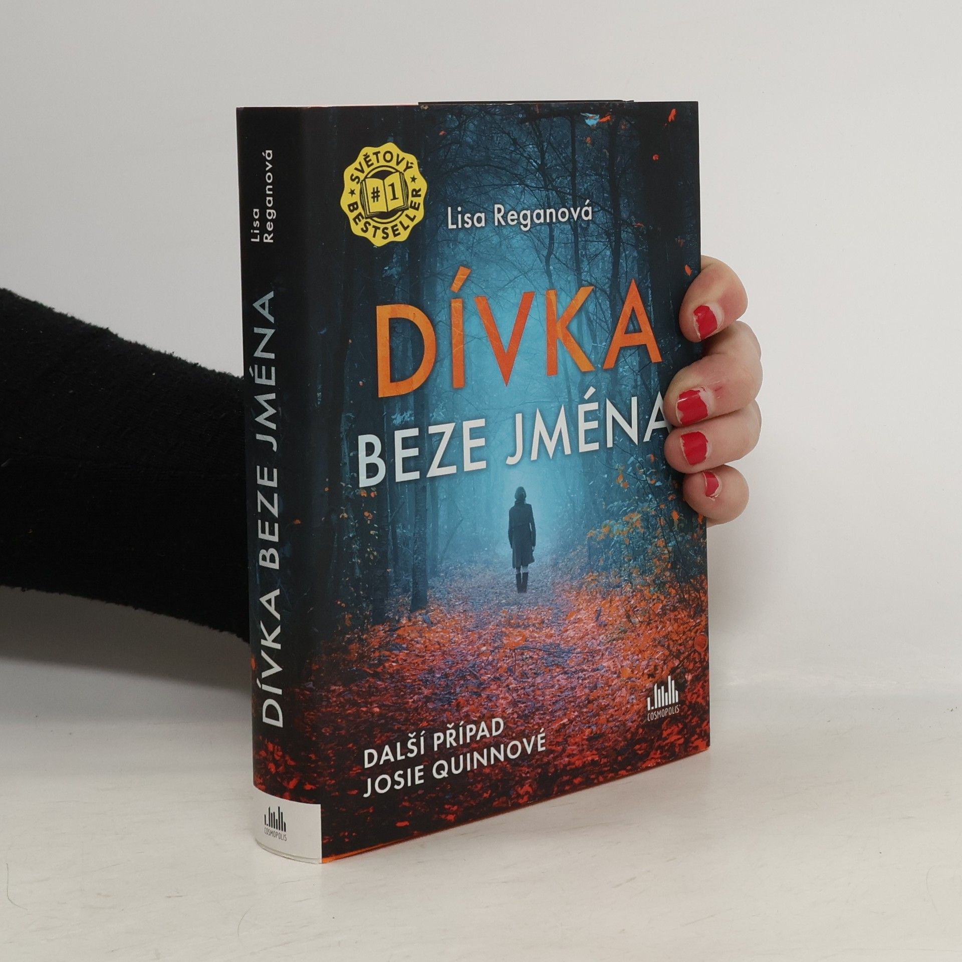 Lisa Regan Dívka beze jména: Další případ Josie Quinnové