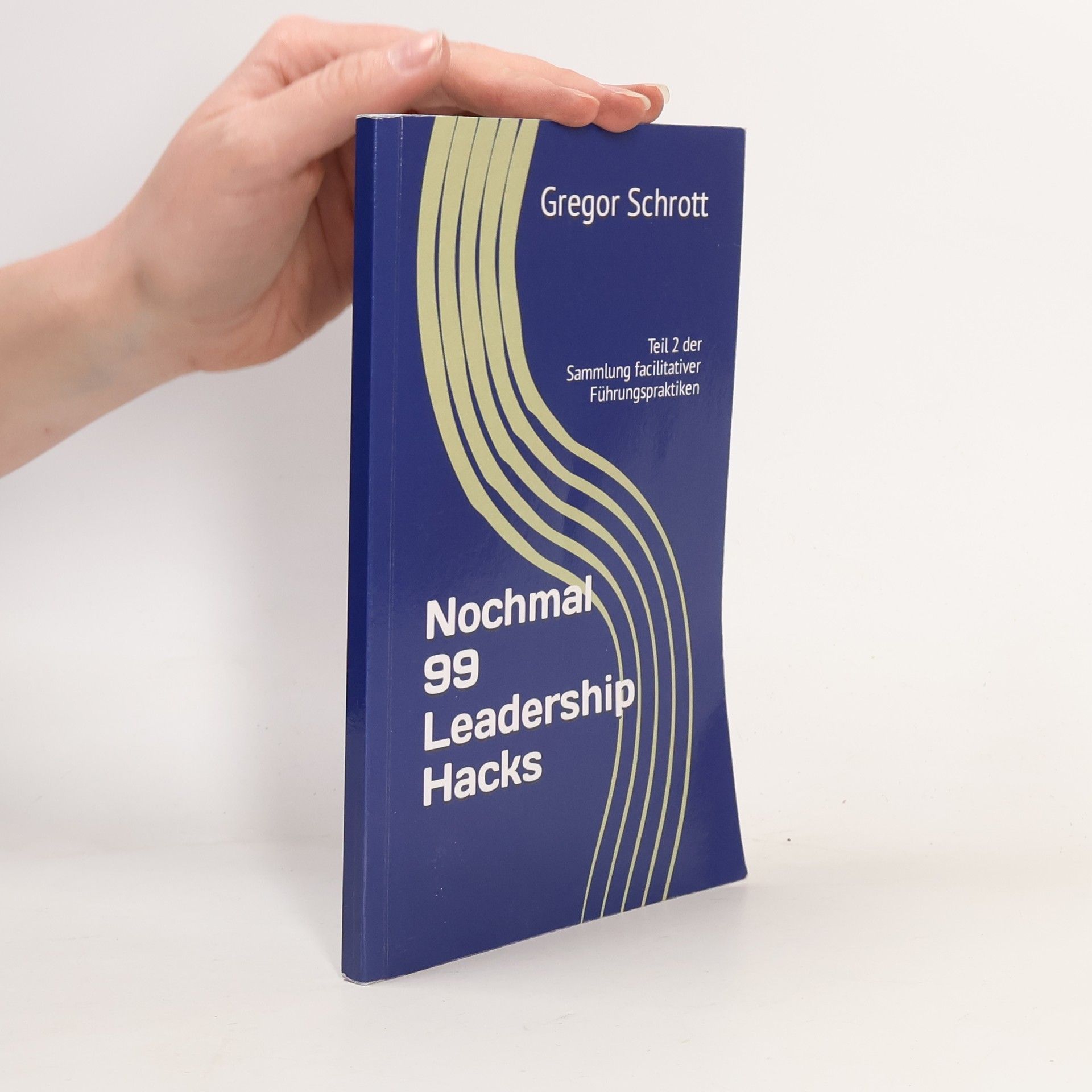 Gregor Schrott 99 Leadership Hacks: Kleine Praktiken der facilitativen Führung - 2: Nochmal 99 Leadership Hacks