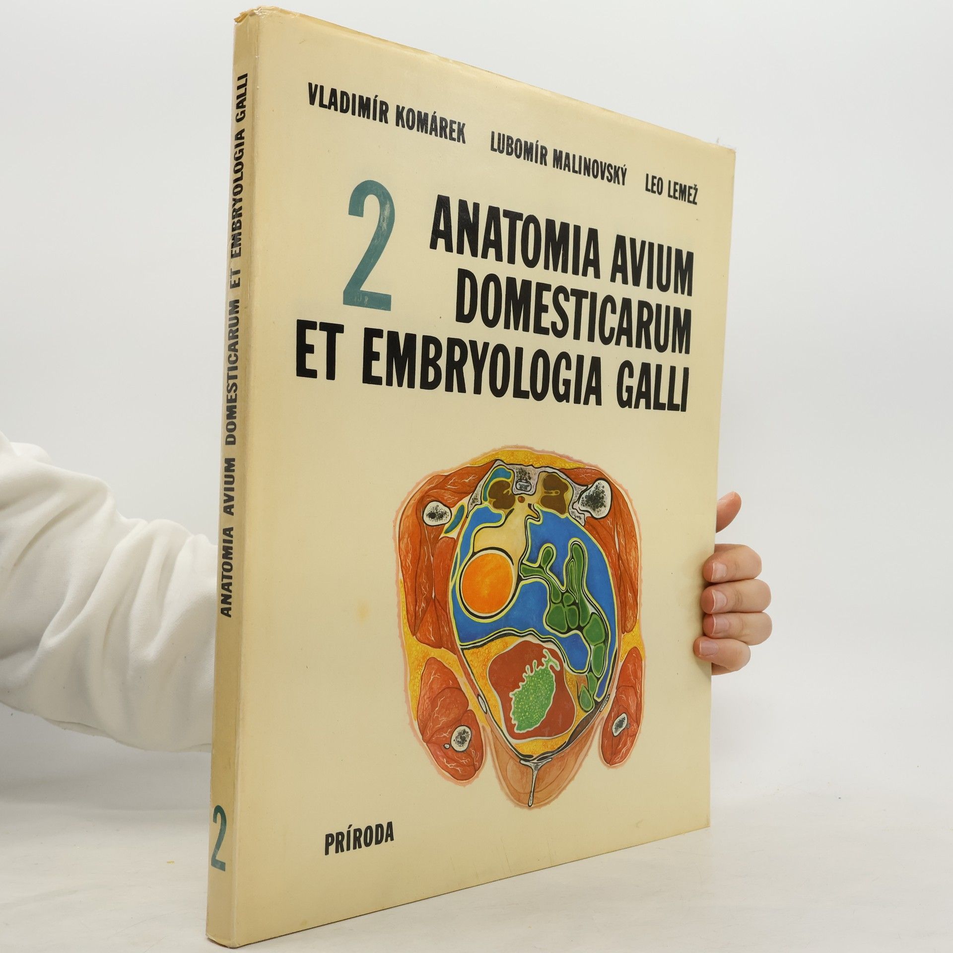 Vladimír Komárek Anatomia avium domesticarum et embryologia galli 2