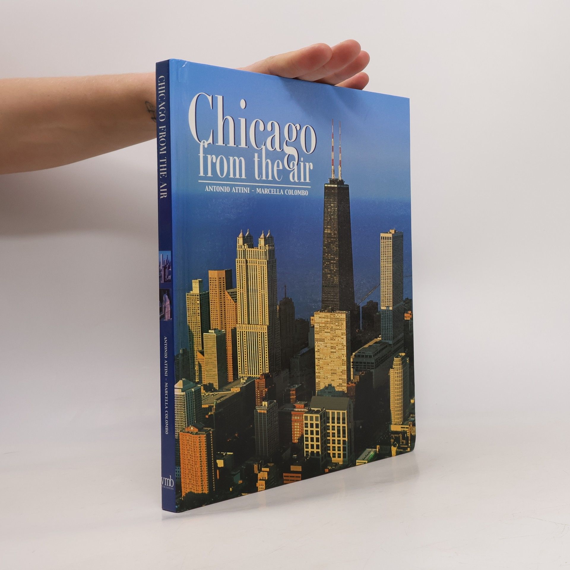 Marcella Colombo Chicago from the air