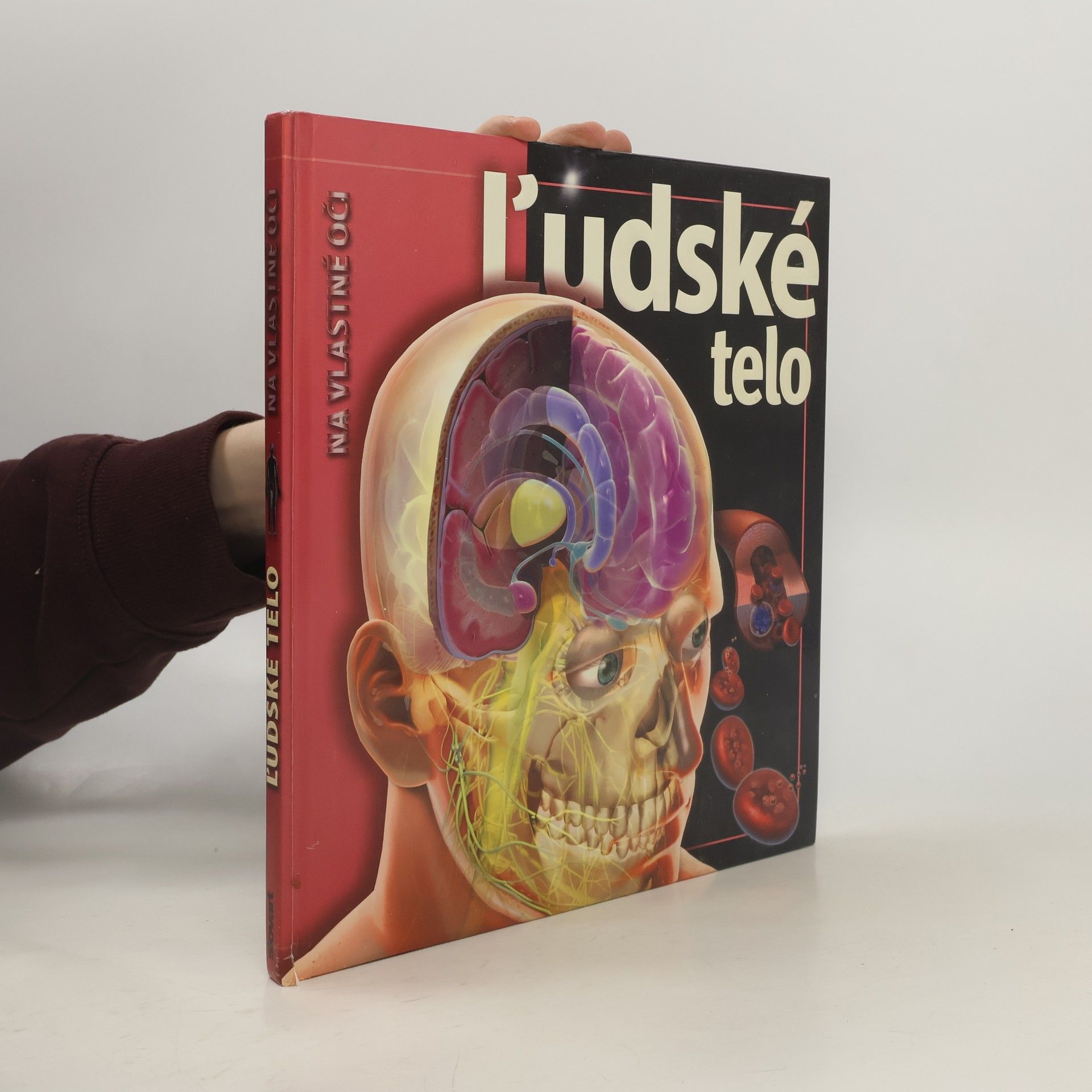 Linda Calabresi Ľudské telo