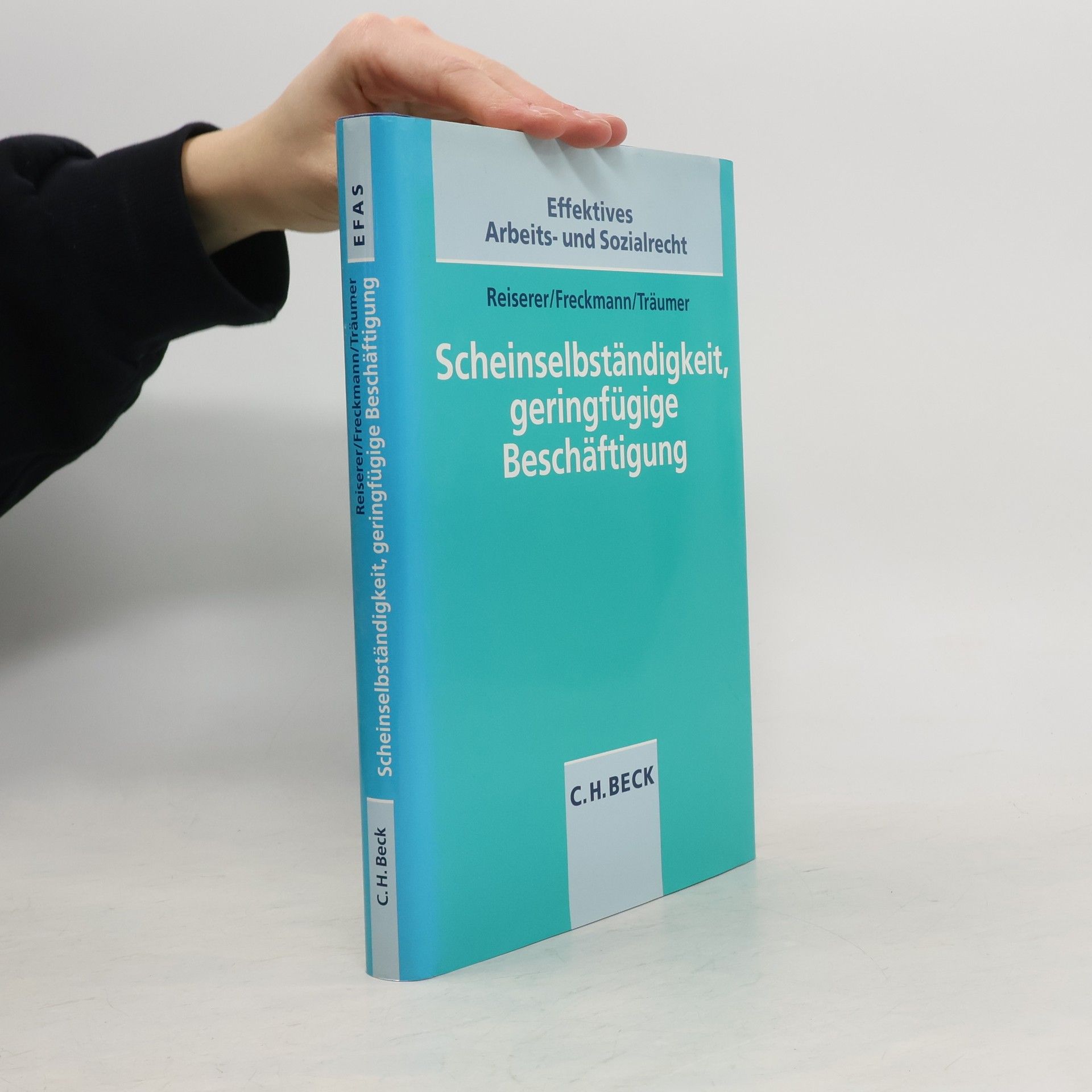 Kerstin Reiserer Scheinselbstständigkeit, geringfügige Beschäftigung