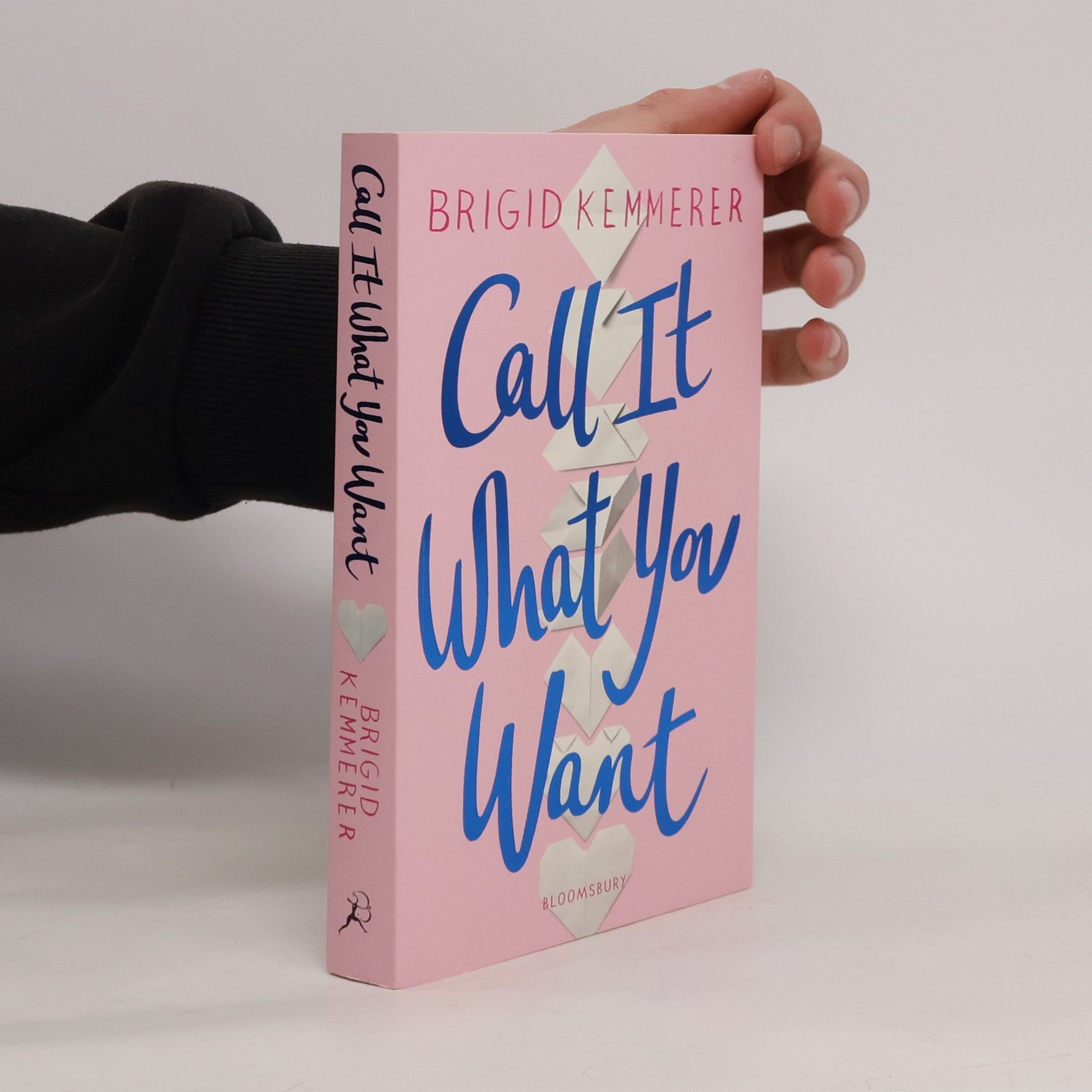 Brigid Kemmerer Call It What You Want