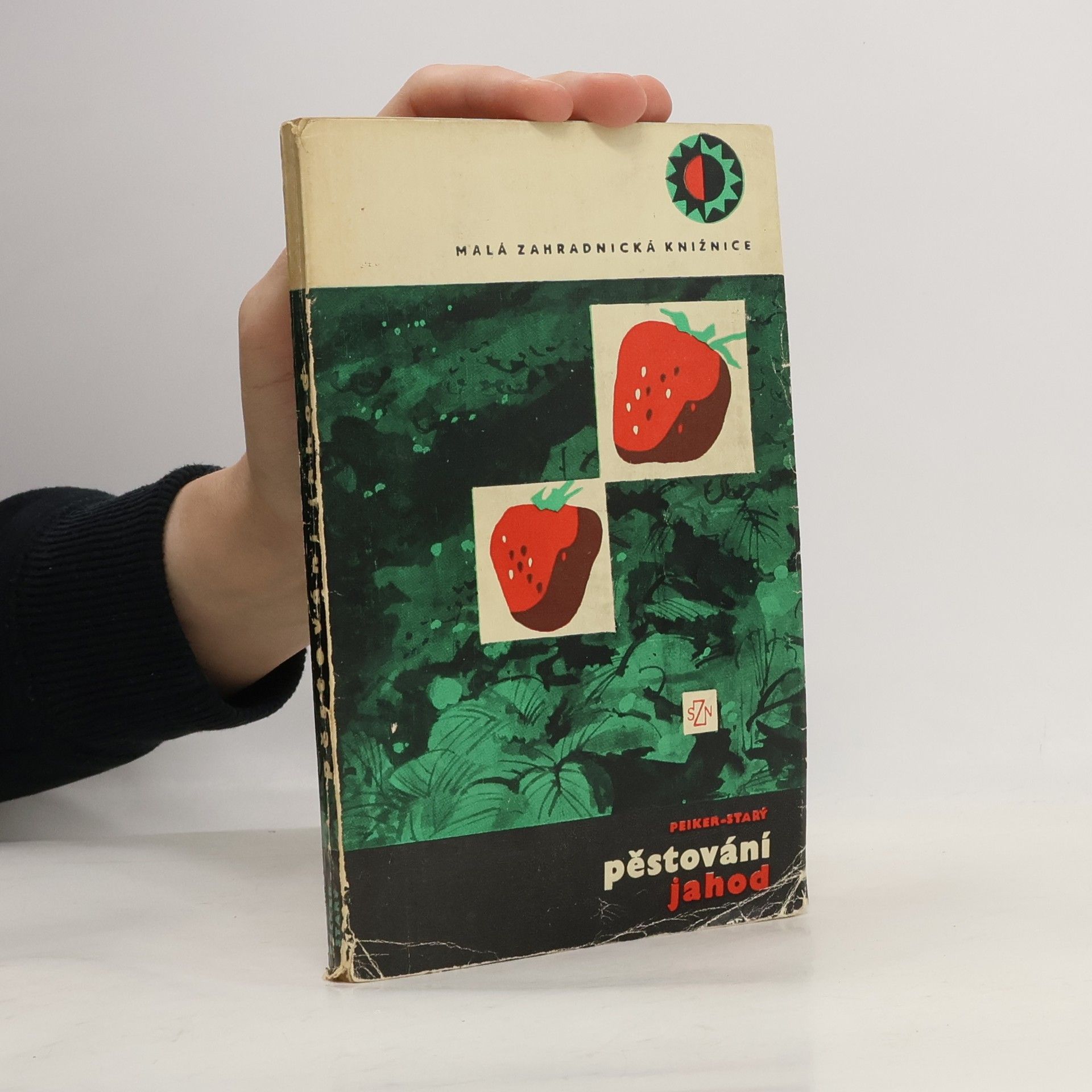 Peiker Starý Pěstování jahod