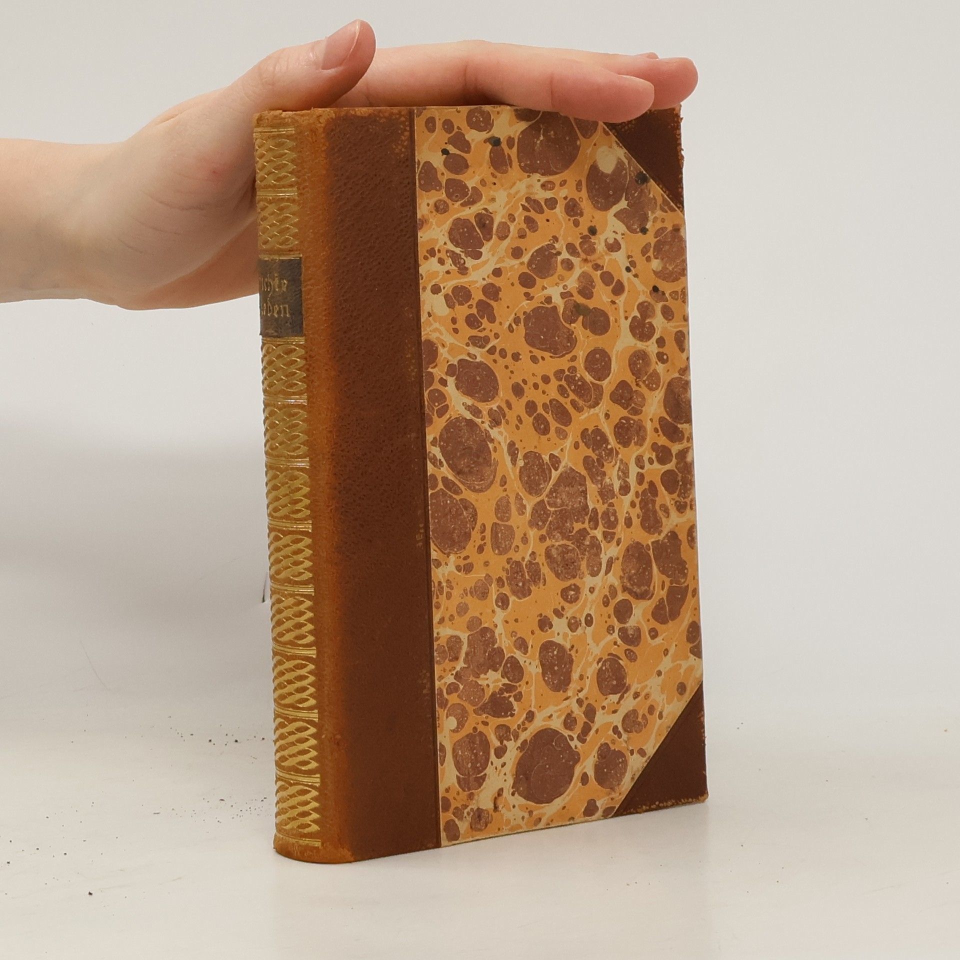 Auteurscollectief Fichtes Reden an die deutsche Nation