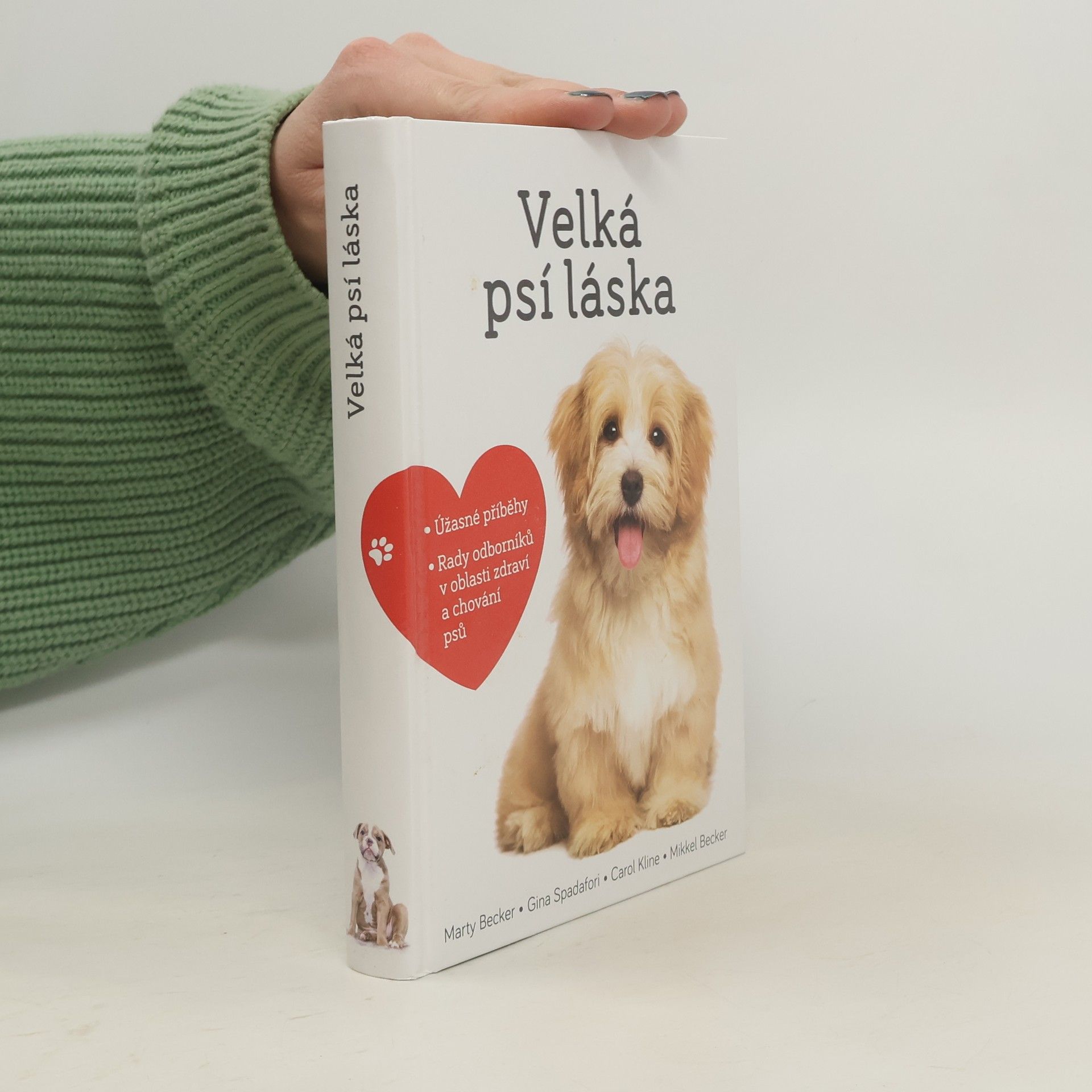 Velká psí láska: Příběhy, rady a úžasné fotografie psích bytostí