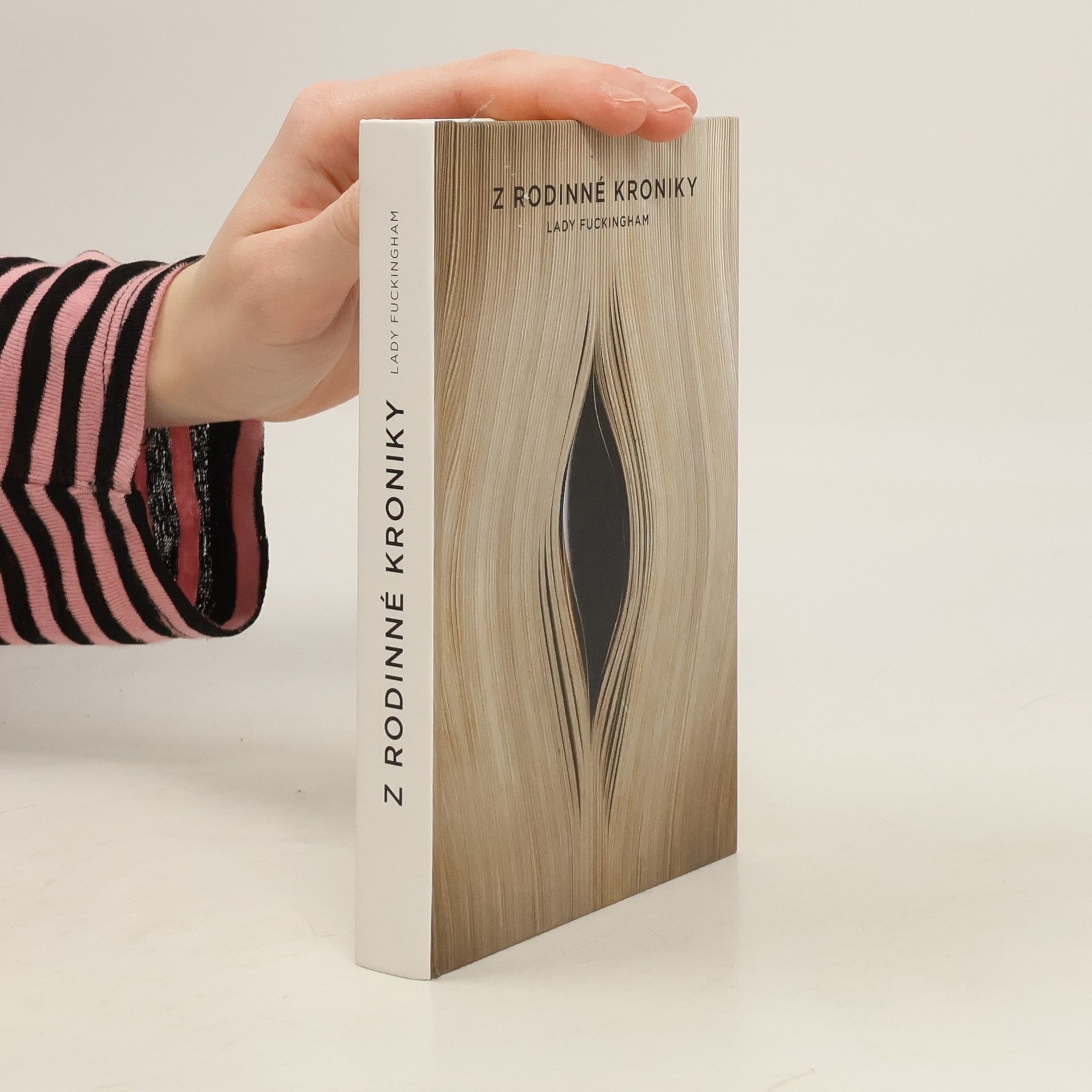 Autorenkollektiv Z rodinné kroniky Lady Fuckingham