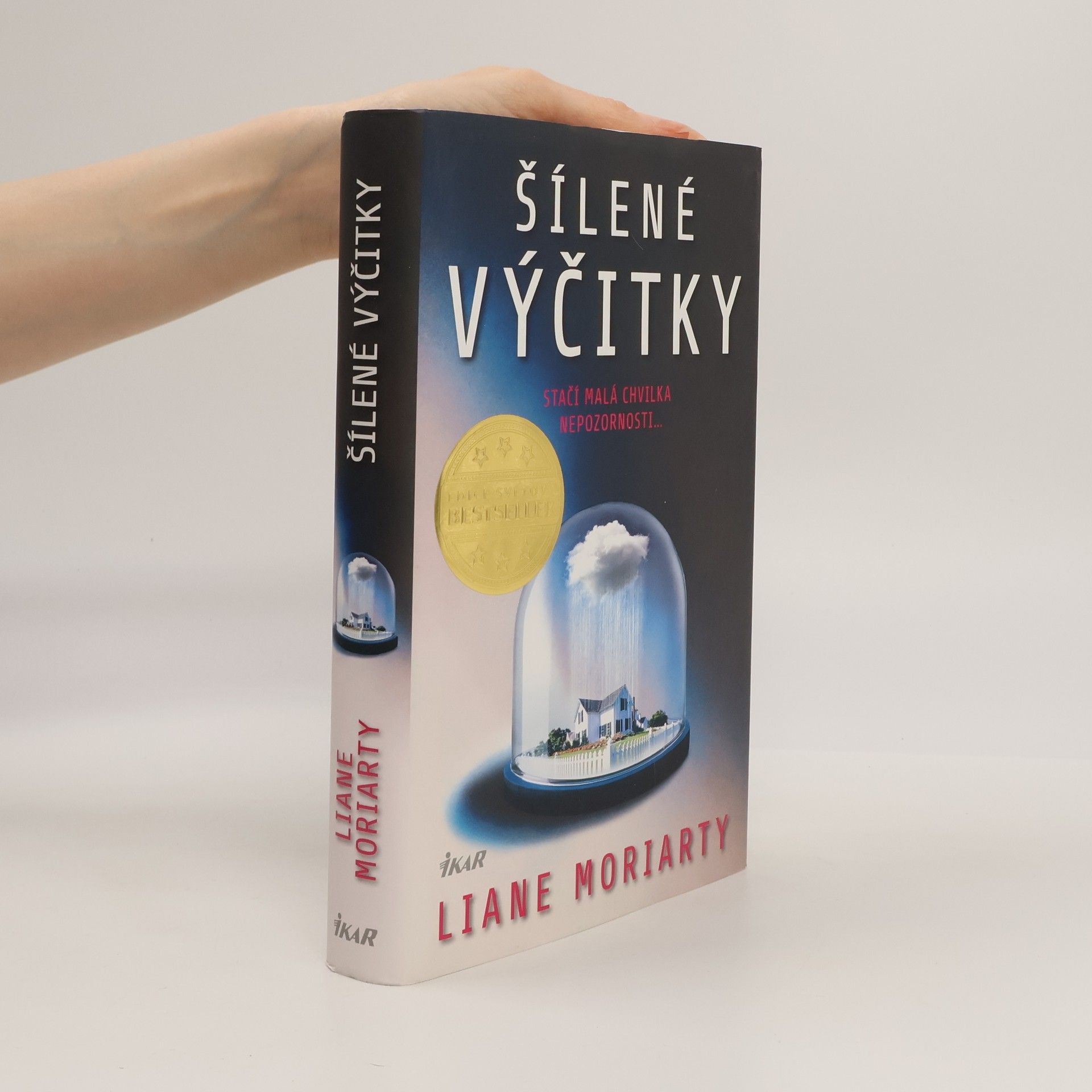 Liane Moriarty Šílené výčitky