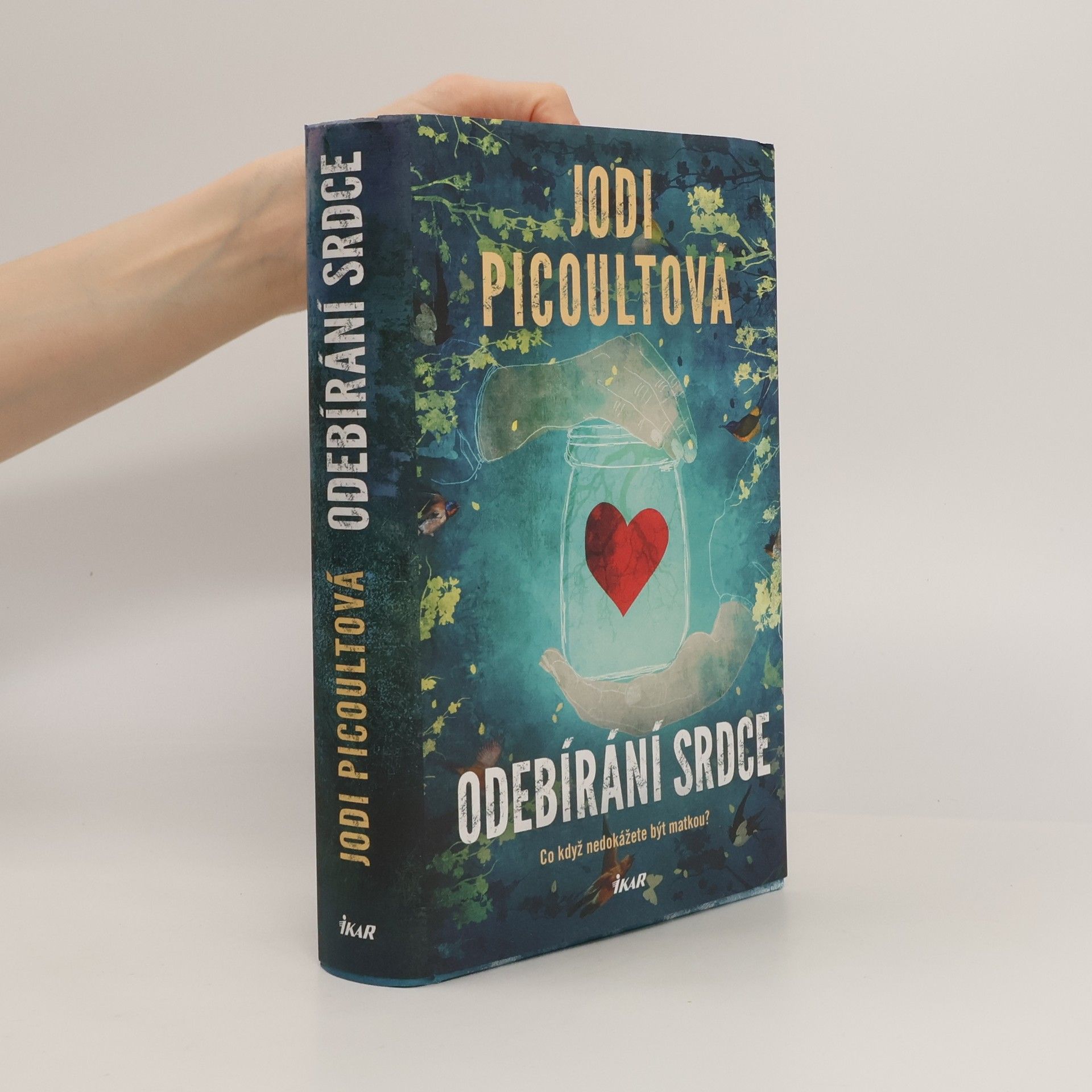 Jodi Picoult Odebírání srdce