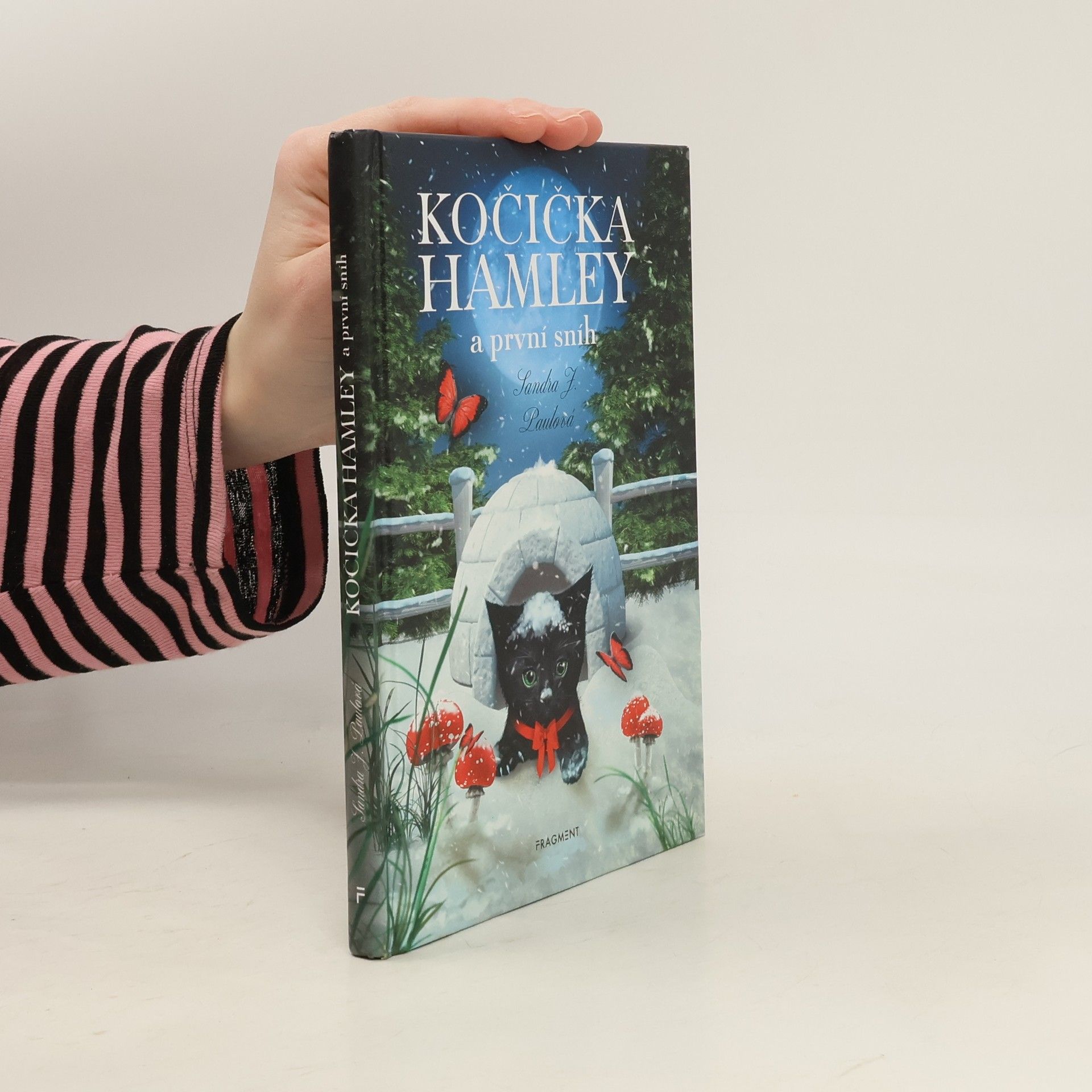 Sandra E Hockenbury Kočička Hamley a první sníh