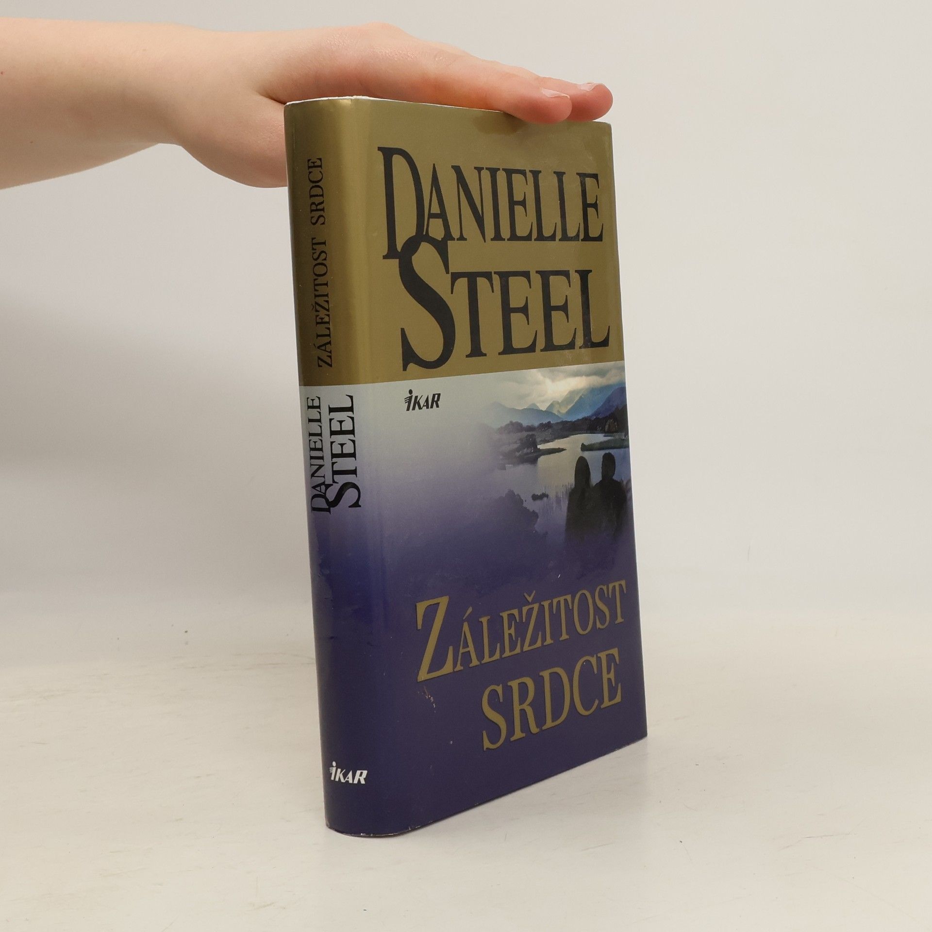 Danielle Steel Záležitost srdce