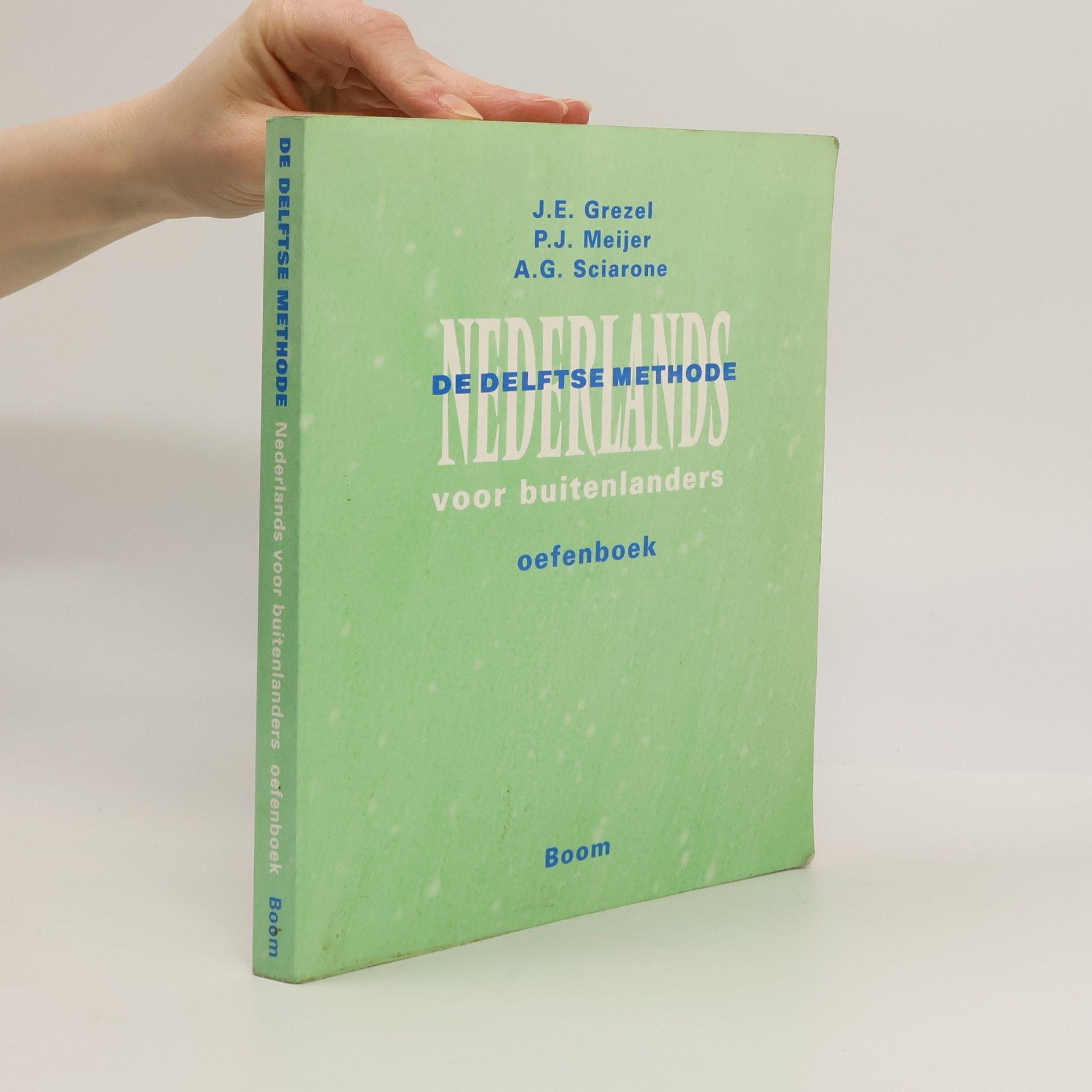 Autorenkollektiv Nederlands voor buitenlanders