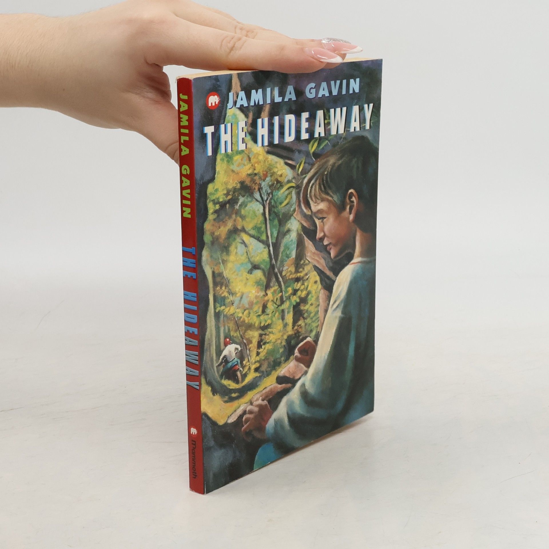 Jamila Gavin The Hideaway