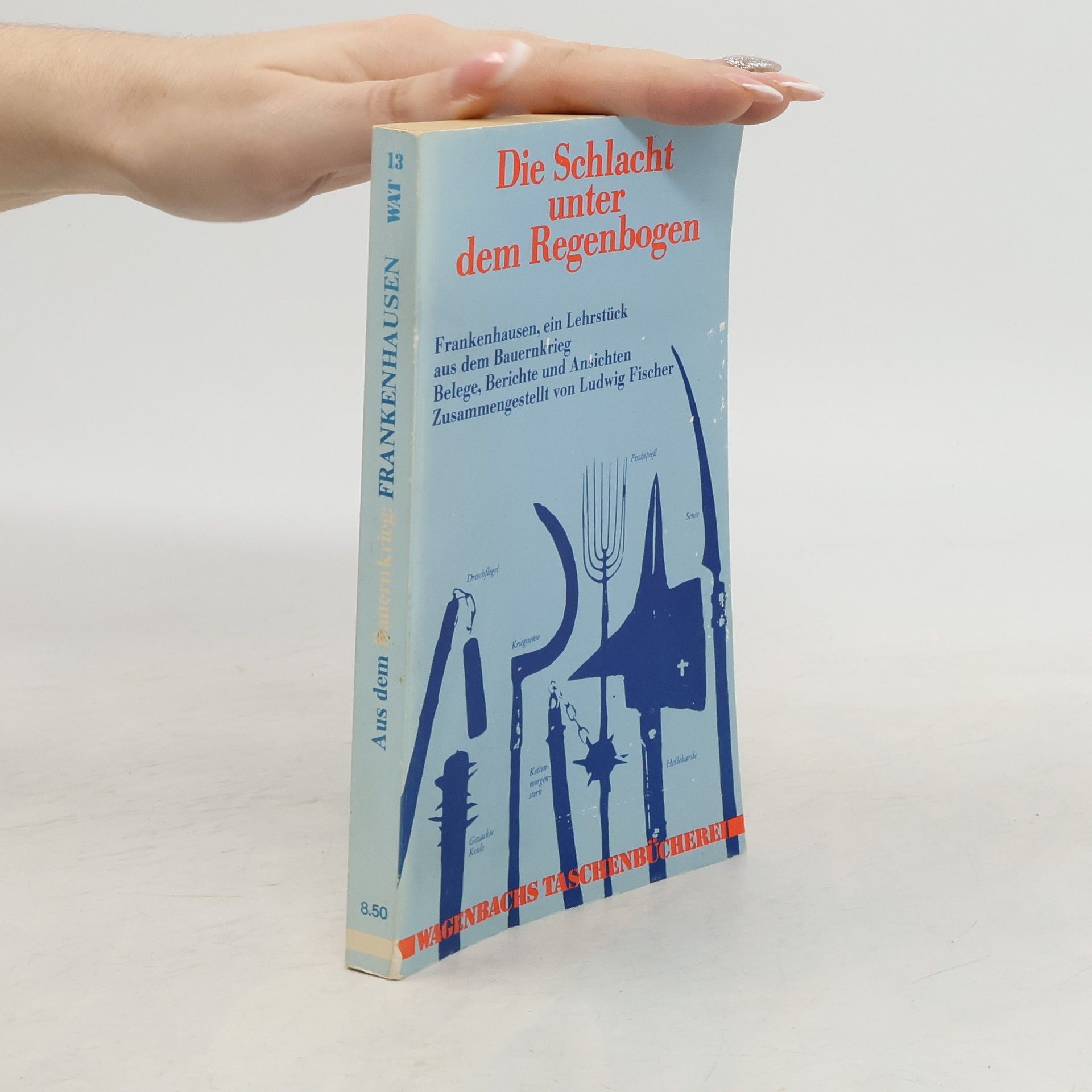 Karl-Ludwig Fischer Die Schlacht unter dem Regenbogen