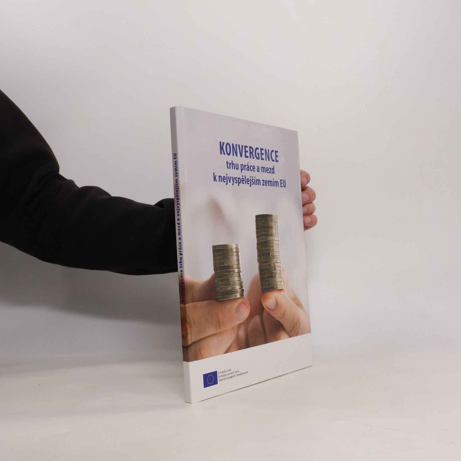 Autorenkollektiv Konvergence trhu práce a mezd k nejvyspělejším zemím EU