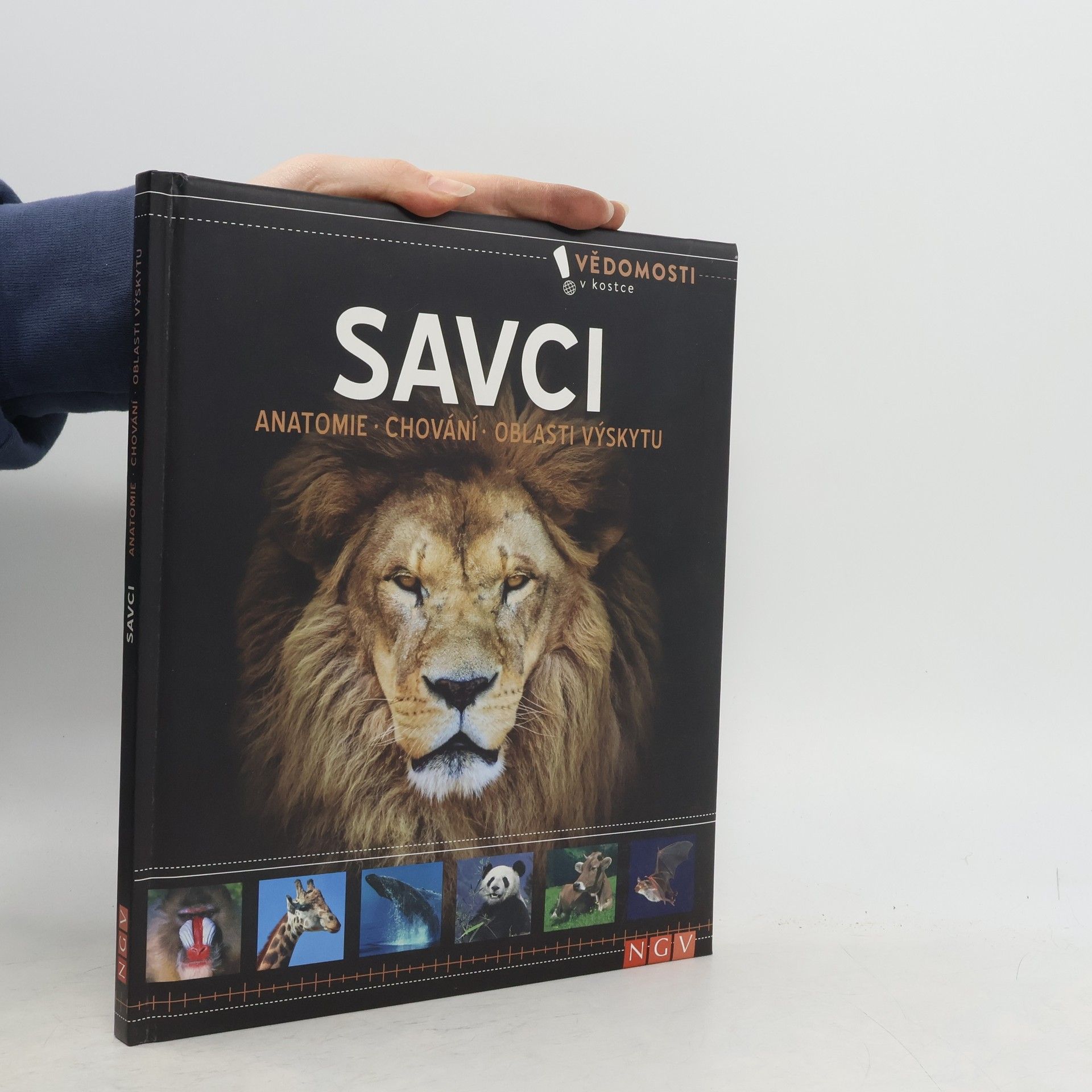 Martin Sobkuljak Savci