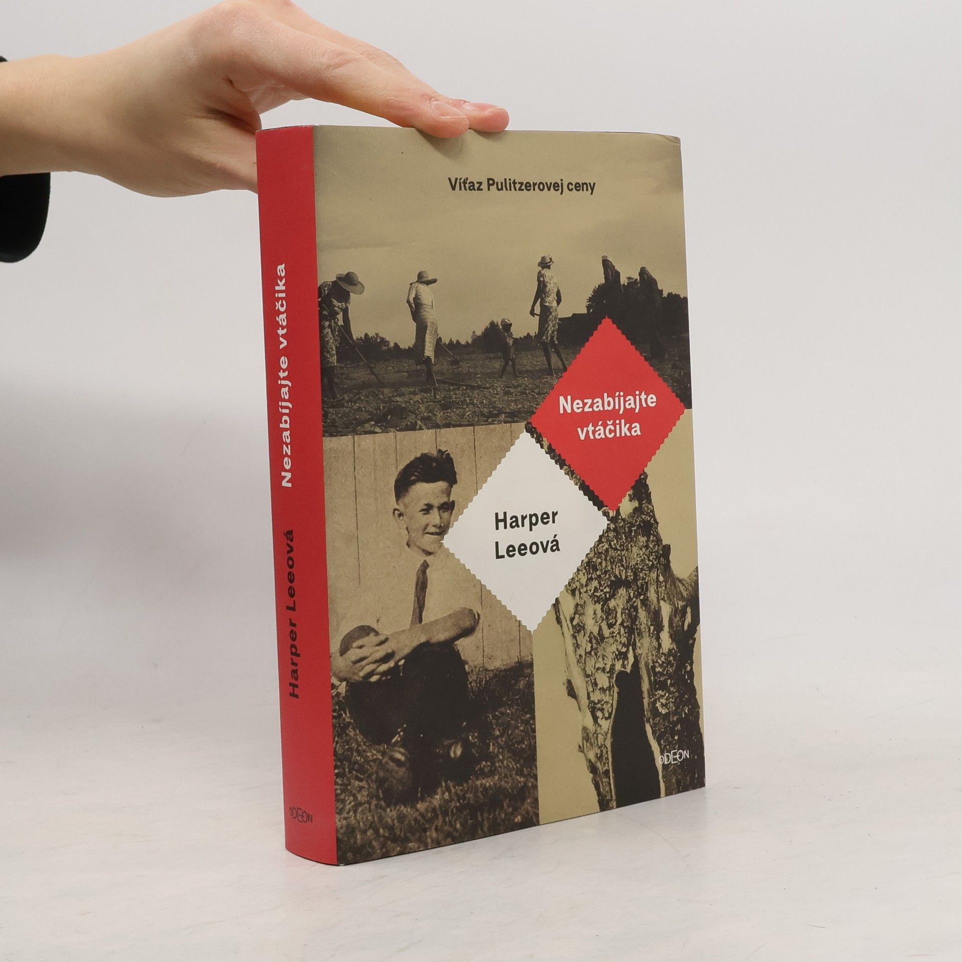 Harper Lee Nezabíjajte vtáčika