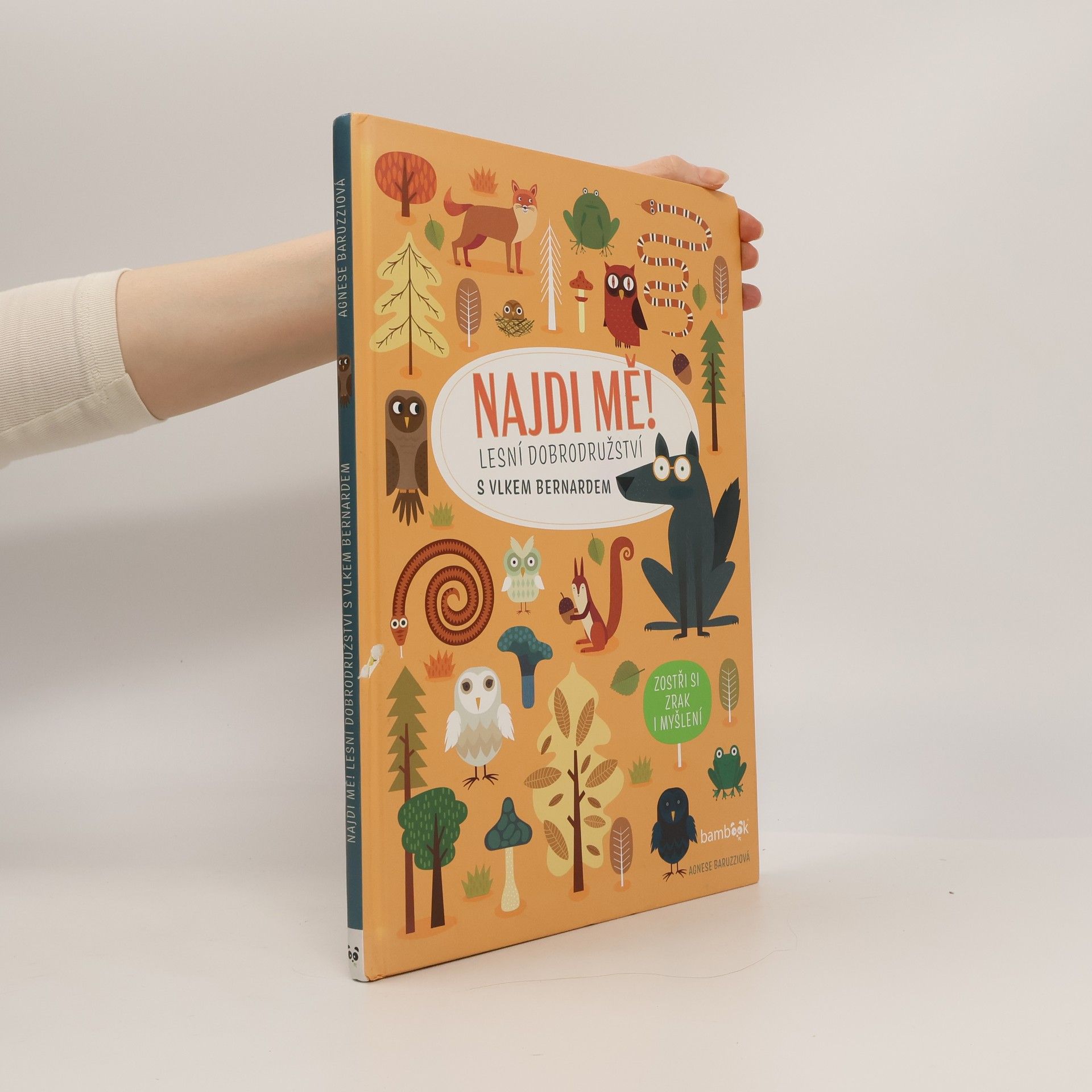 Agnese Baruzzi Najdi mě! Lesní dobrodružství s vlkem Bernardem