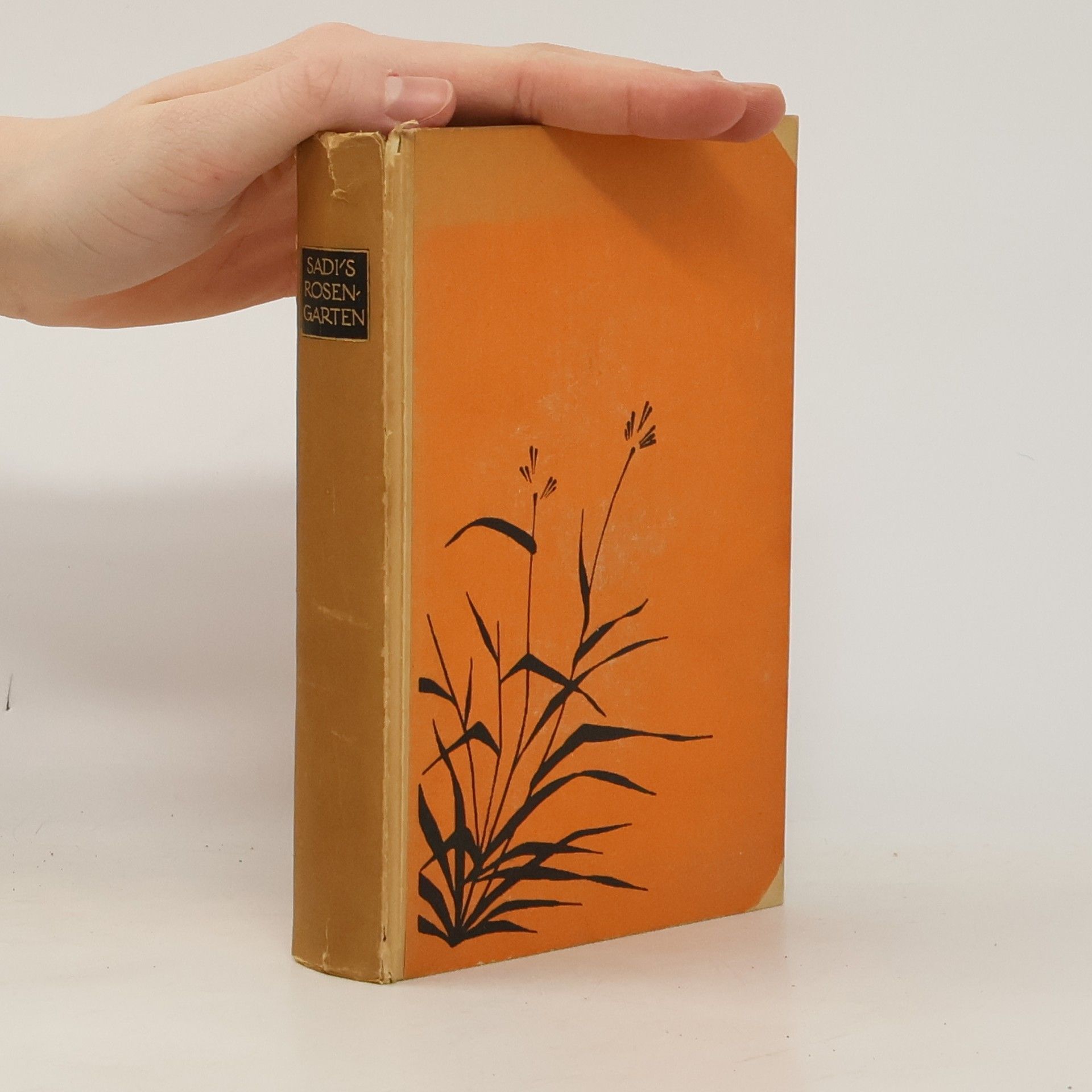 Sa dí Sadi's Rosengarten