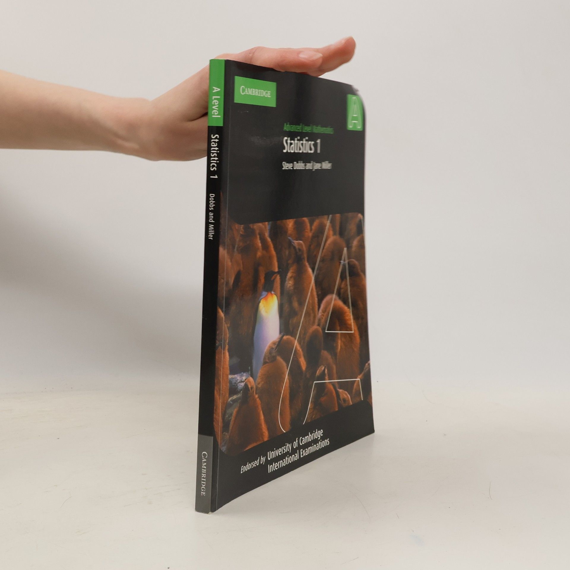 Steve Dobbs Statistics 1