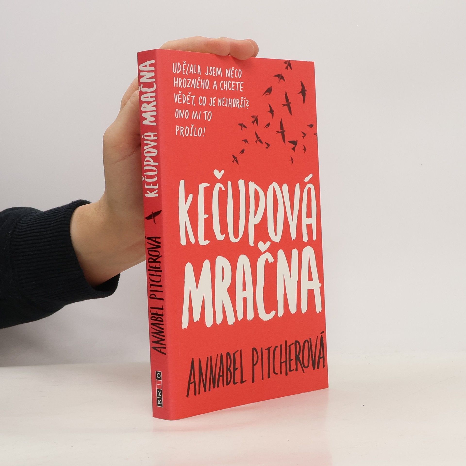 Annabel Pitcher Kečupová mračna