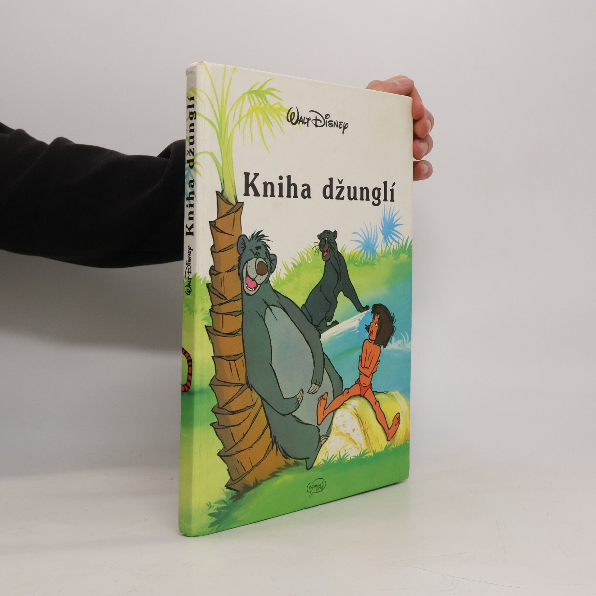 Walt Disney Kniha džunglí