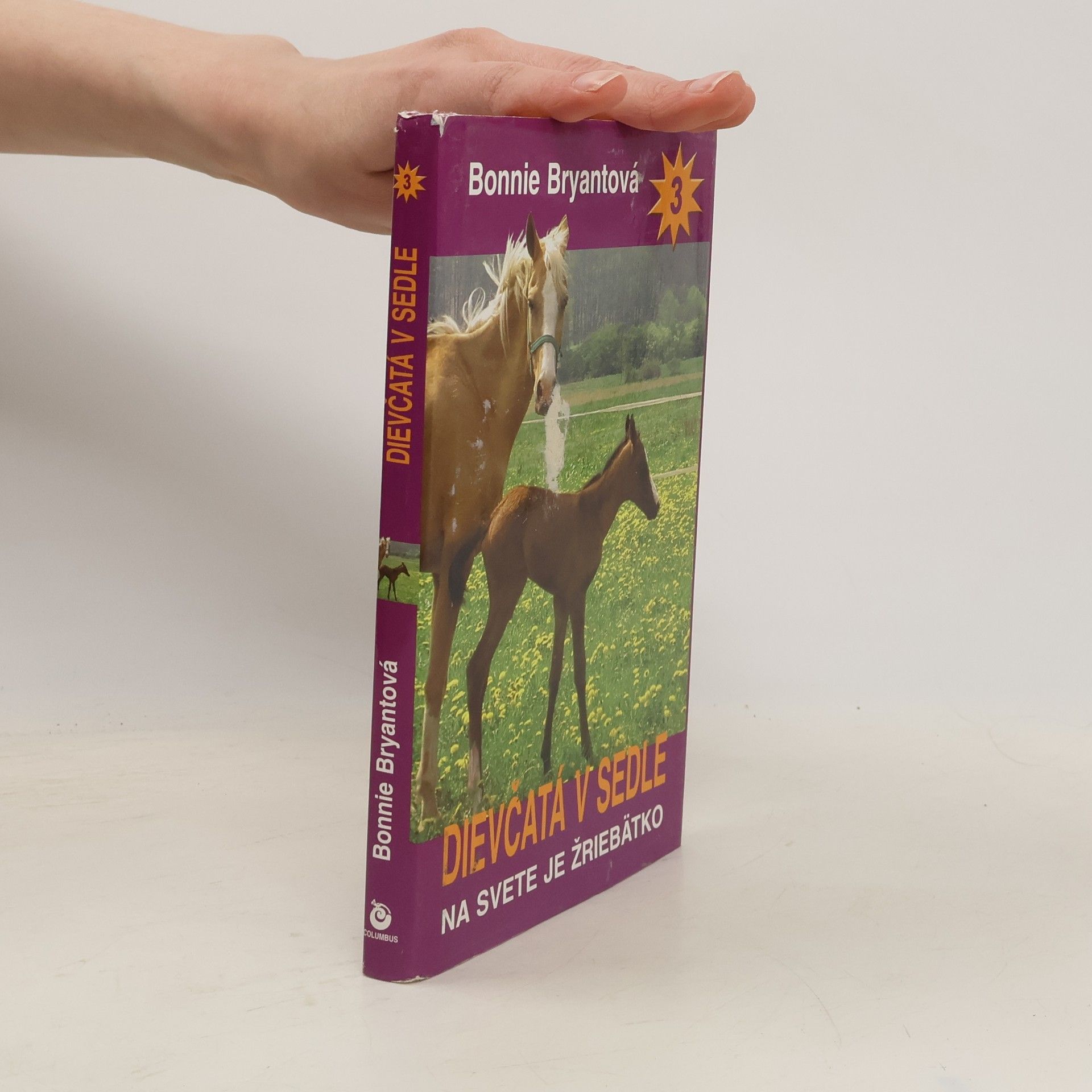 Bonnie Bryant Dievčatá v sedle 3