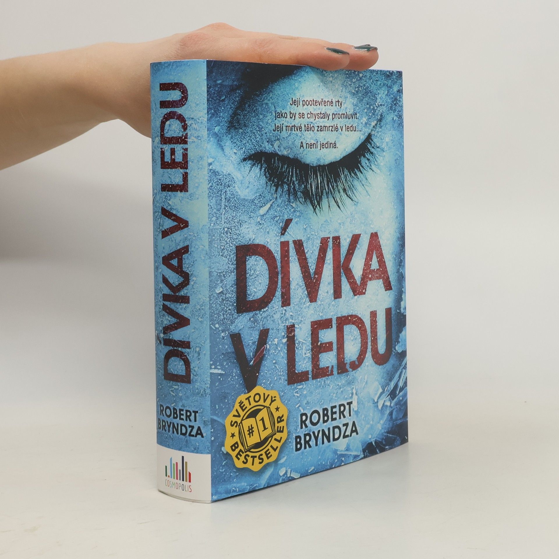 Robert Bryndza Dívka v ledu