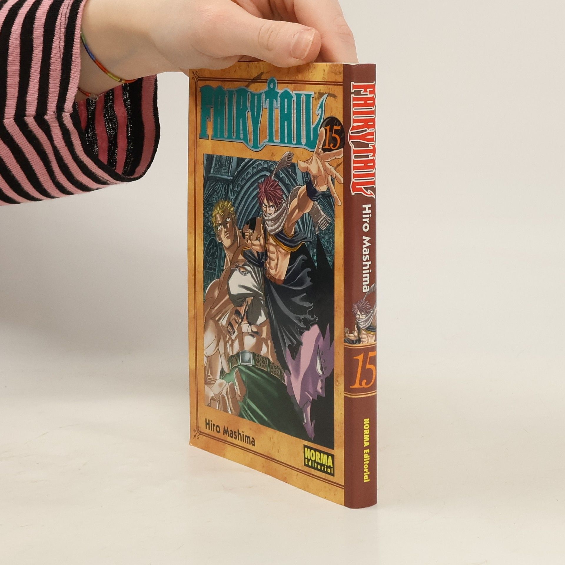 Hiro M. Fairy Tail 15