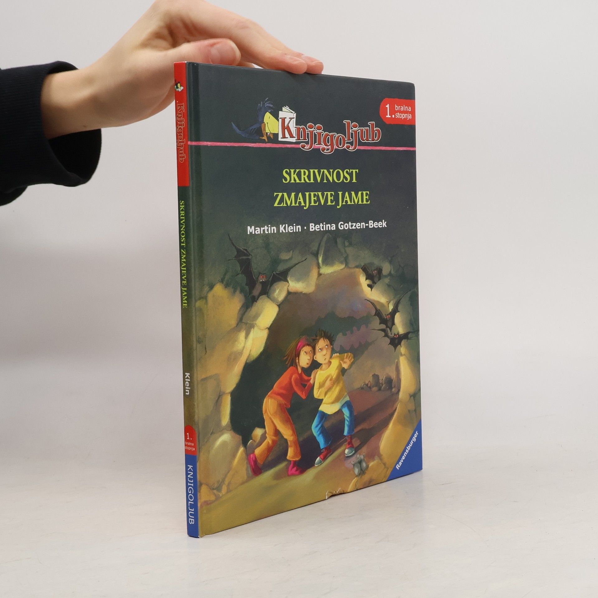 Klaus-Martin Klein Skrivnost zmajeve jame