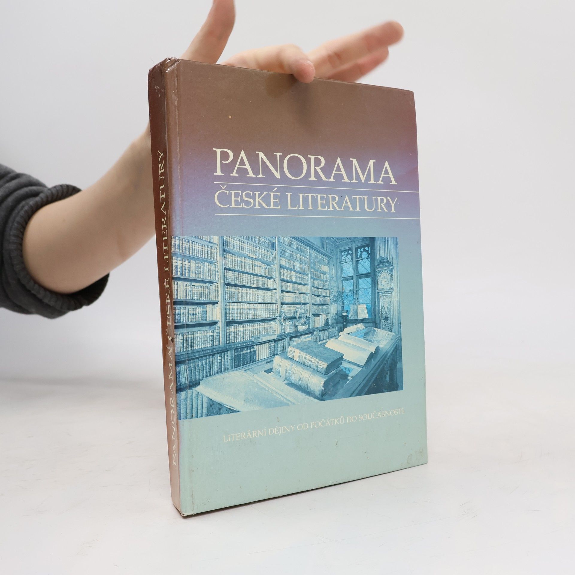Kolektiv autorů Panorama české literatury. Literární dějiny od počátků do současnosti