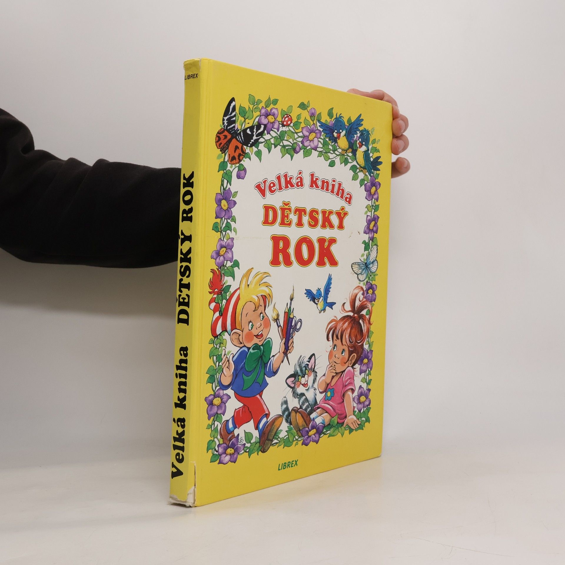 Anikó Csörgő Velká kniha. Dětský rok