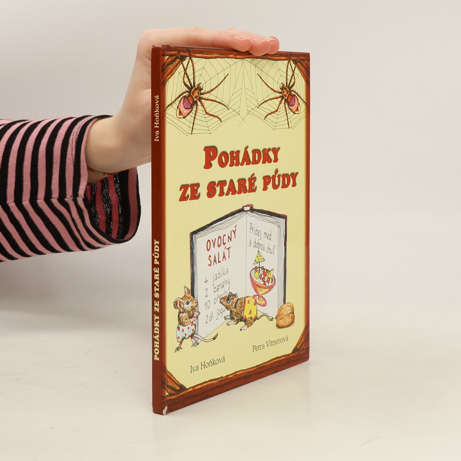 Iva Hoňková Pohádky ze staré půdy
