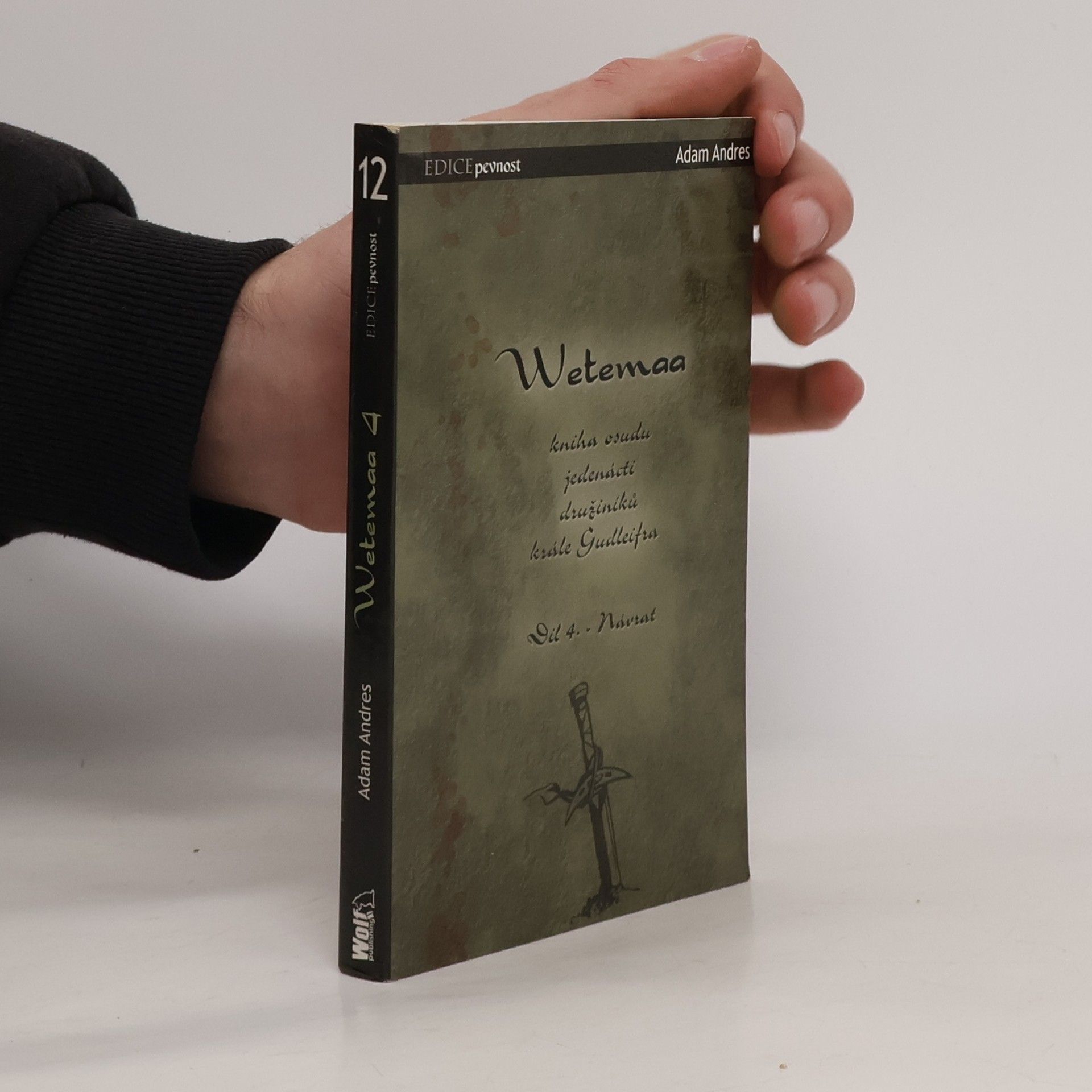 Veronika Válková Wetemaa. Kniha osudu jedenácti družiníků krále Gudleifra. Díl 4. Návrat