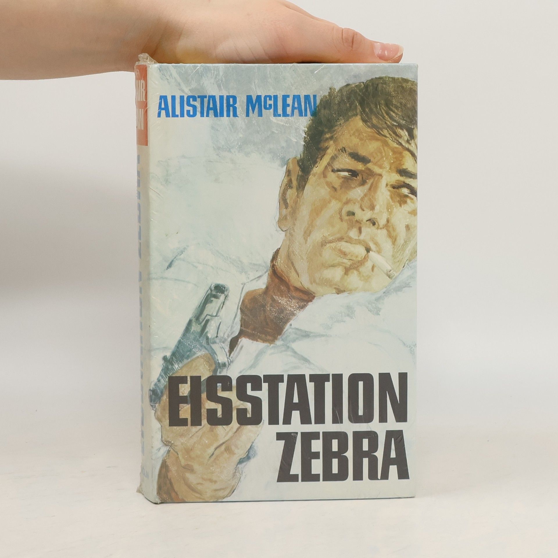 Eisstation Zebra