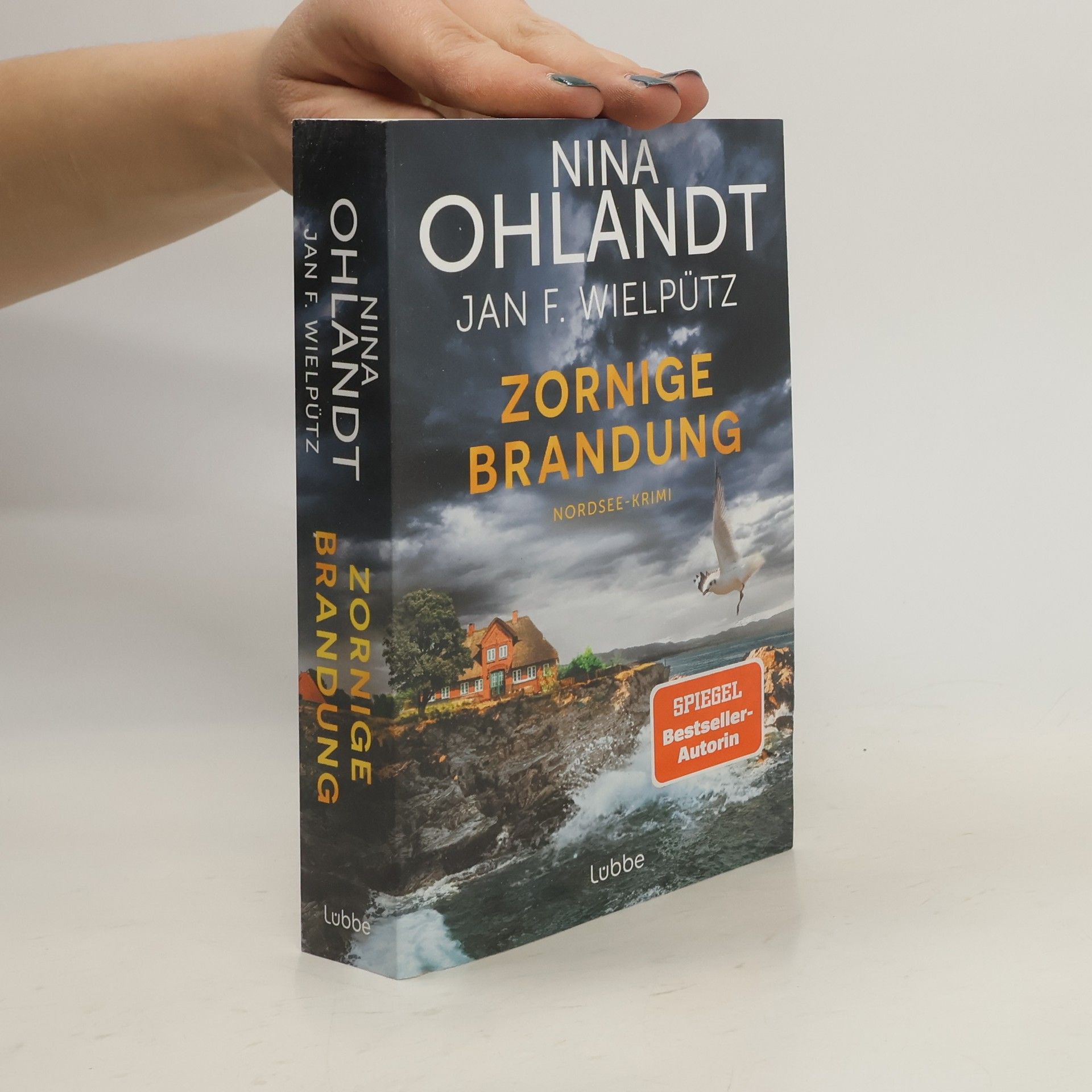Nina Ohlandt Zornige Brandung