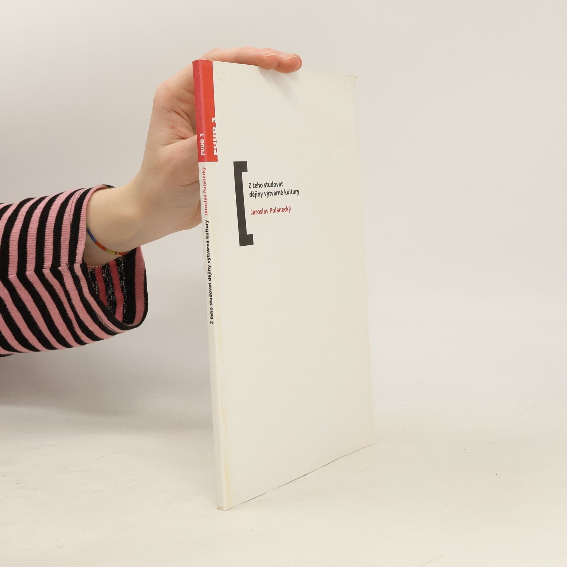 Jaroslav Polanecký Z čeho studovat dějiny výtvarné kultury