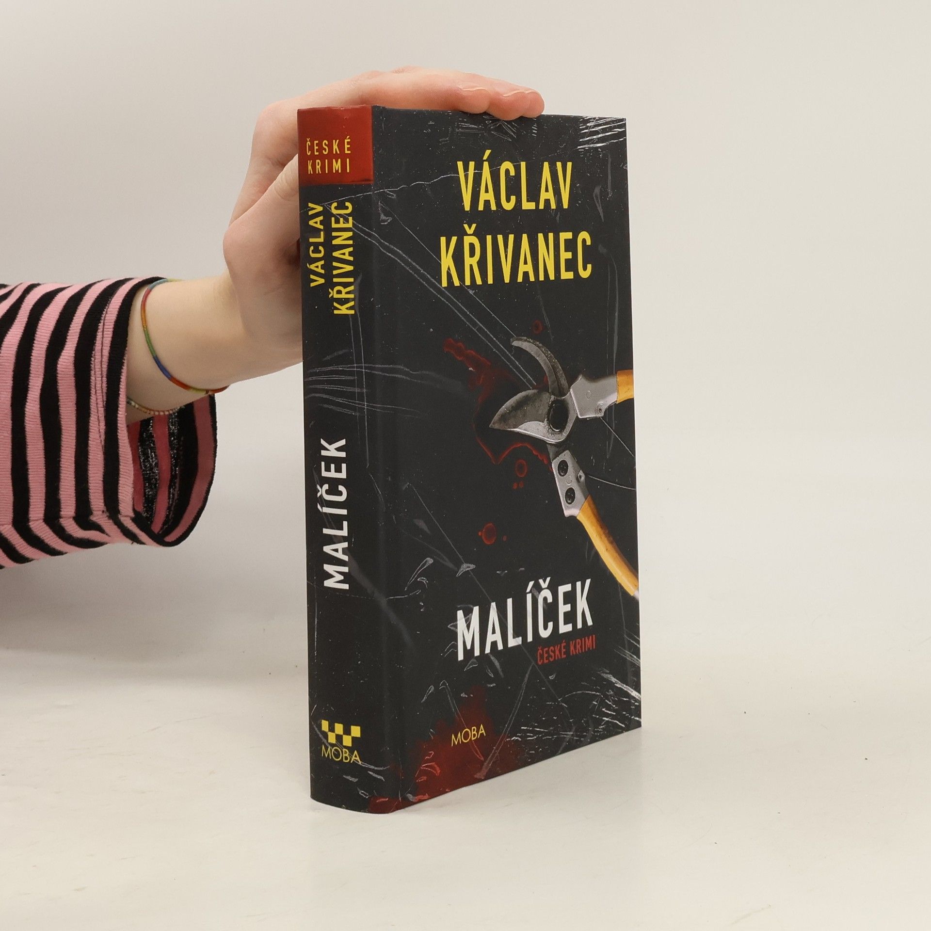 Václav Křivanec Malíček