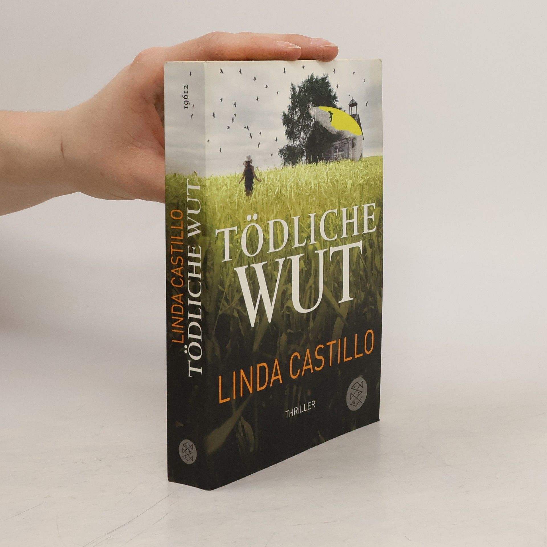 Linda Castillo Tödliche Wut
