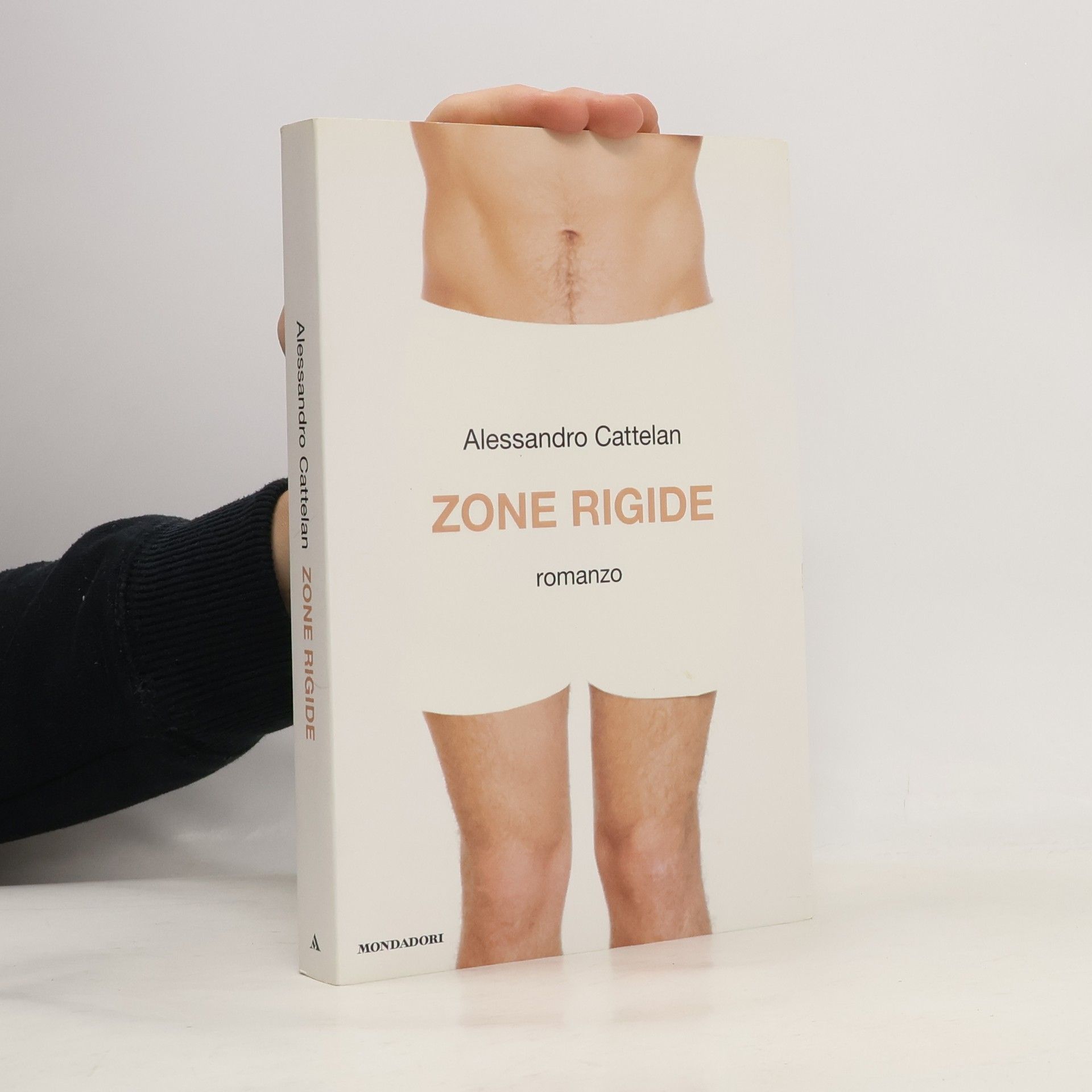 Alessandro Cattelan Zone rigide
