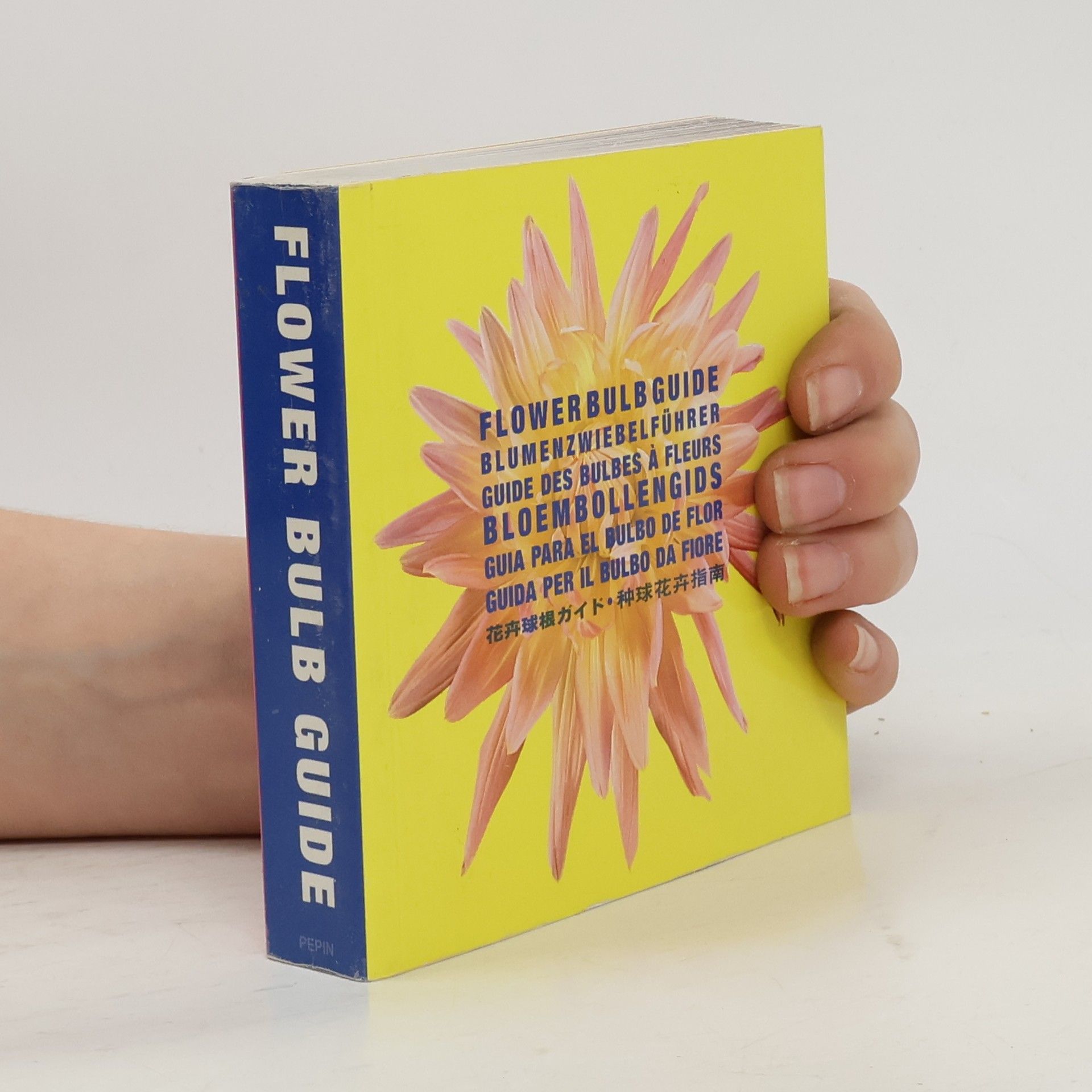 Kolektiv autorů Flower Bulb Guide