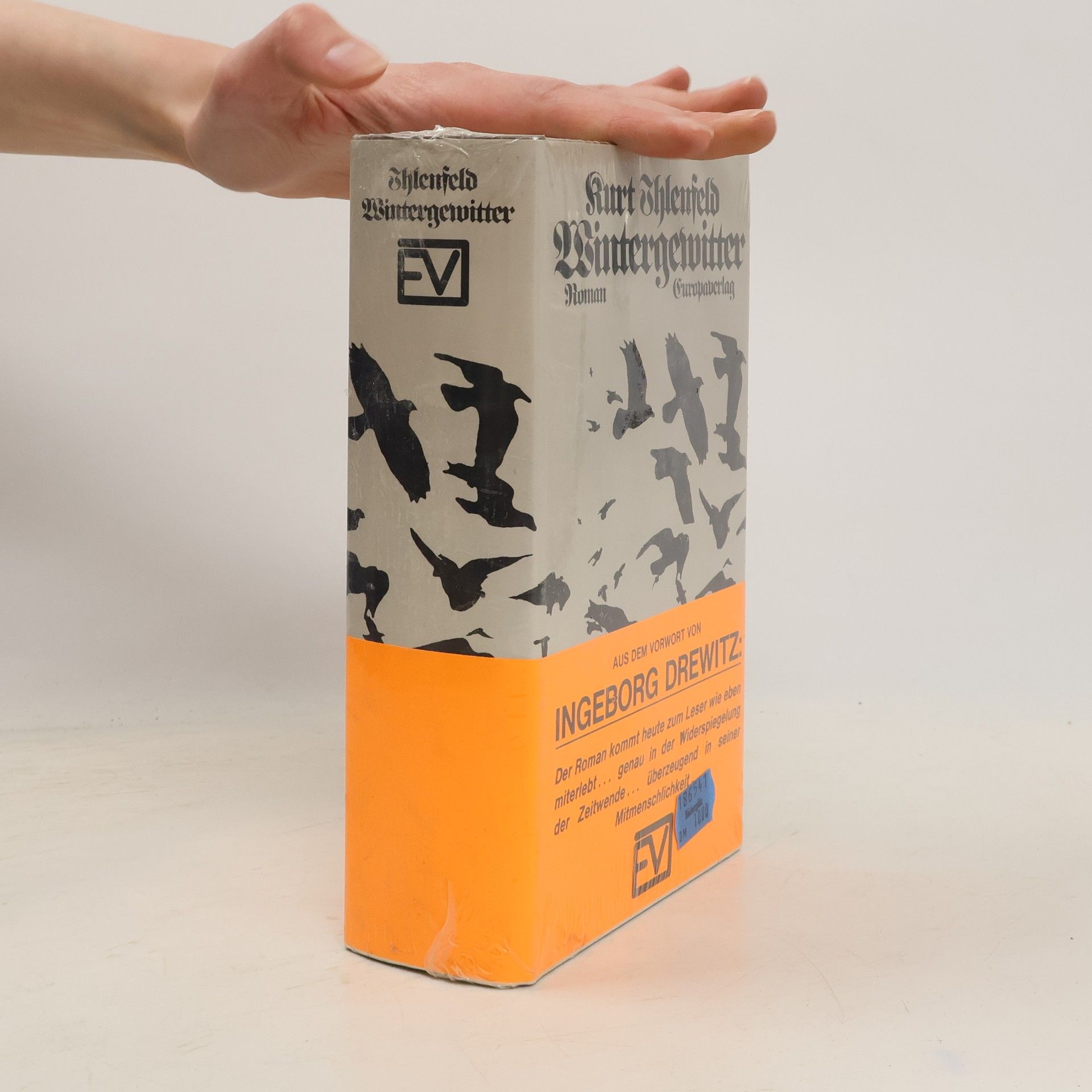 Kurt Ihlenfeld Wintergewitter