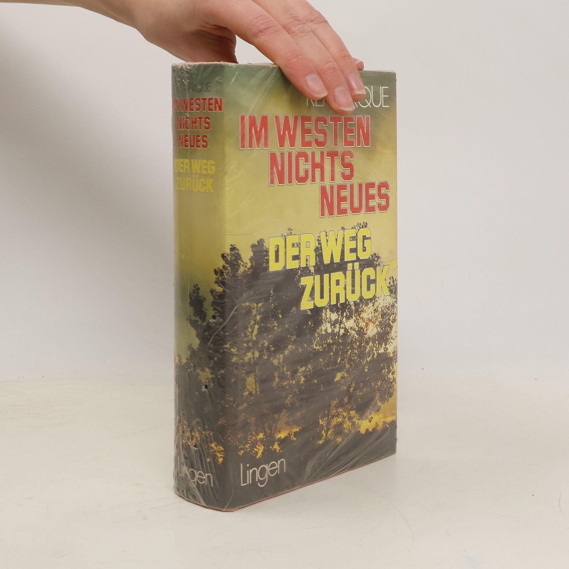 Erich Maria Remarque Im Westen nichts Neues/Der Weg zurück