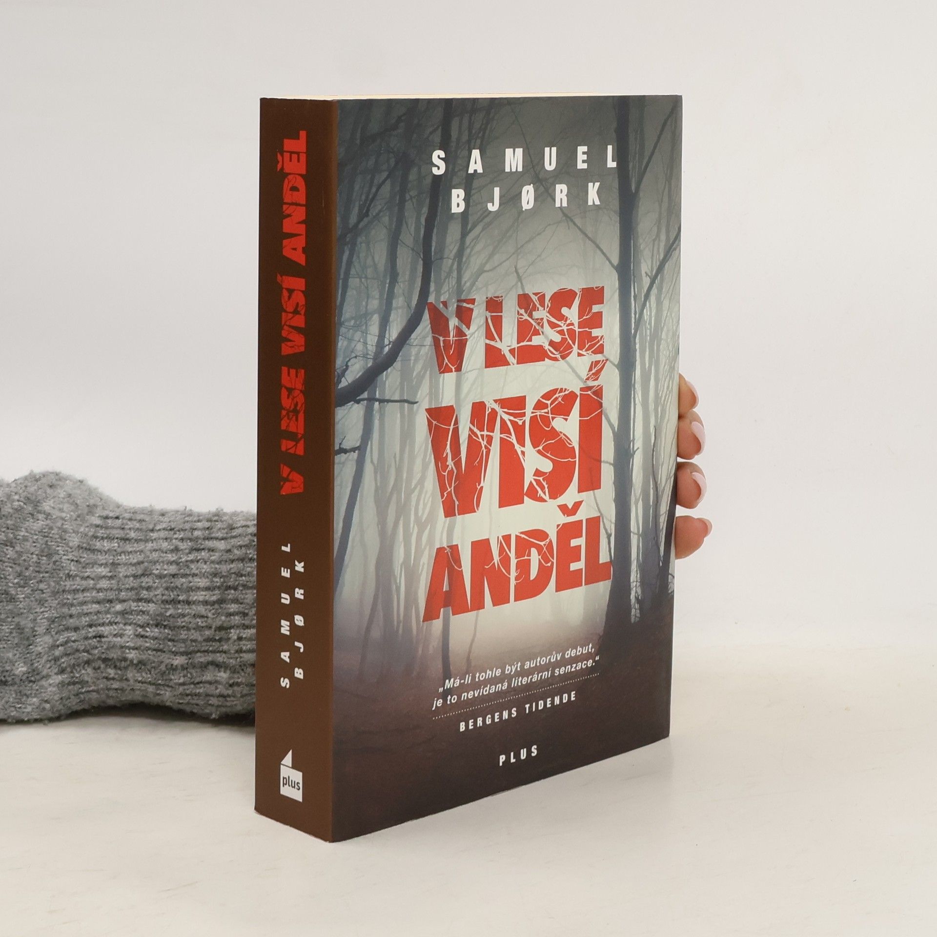 Samuel Bjork V lese visí anděl