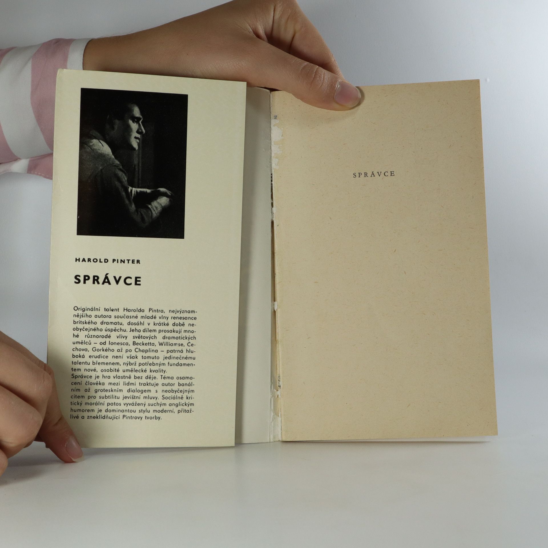 Harold Pinter Správce