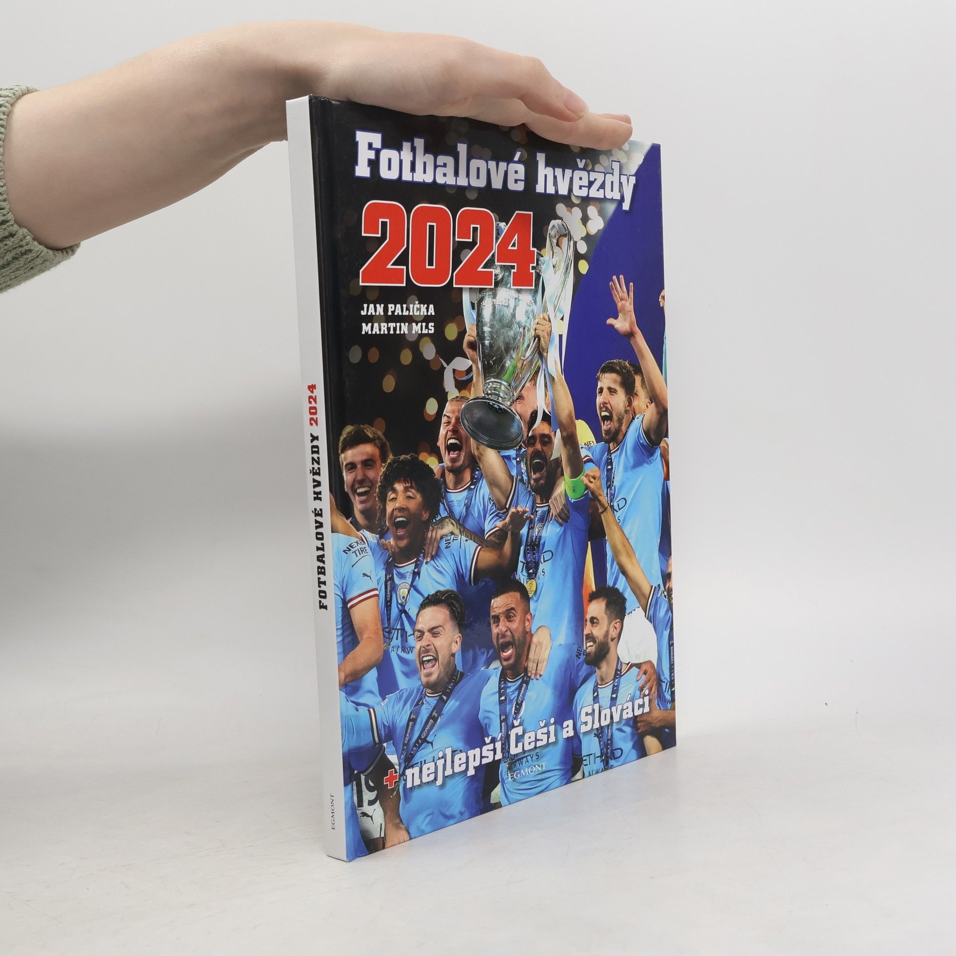 Fotbalové hvězdy 2024