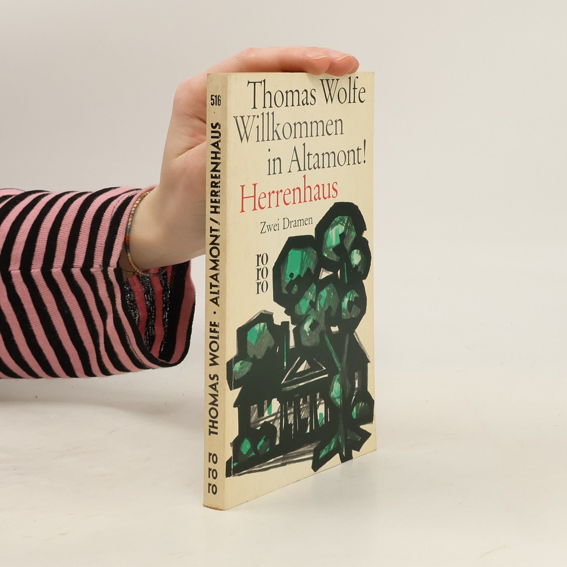 Thomas Wolfe Willkommen in Altamont. Herrenhaus