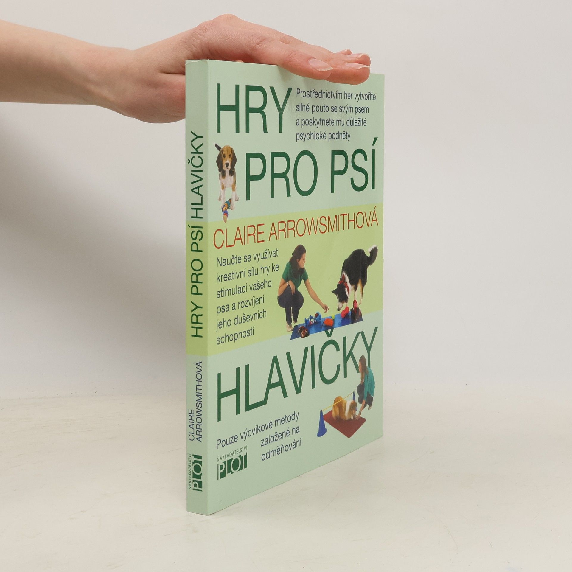 Hry pro psí hlavičky